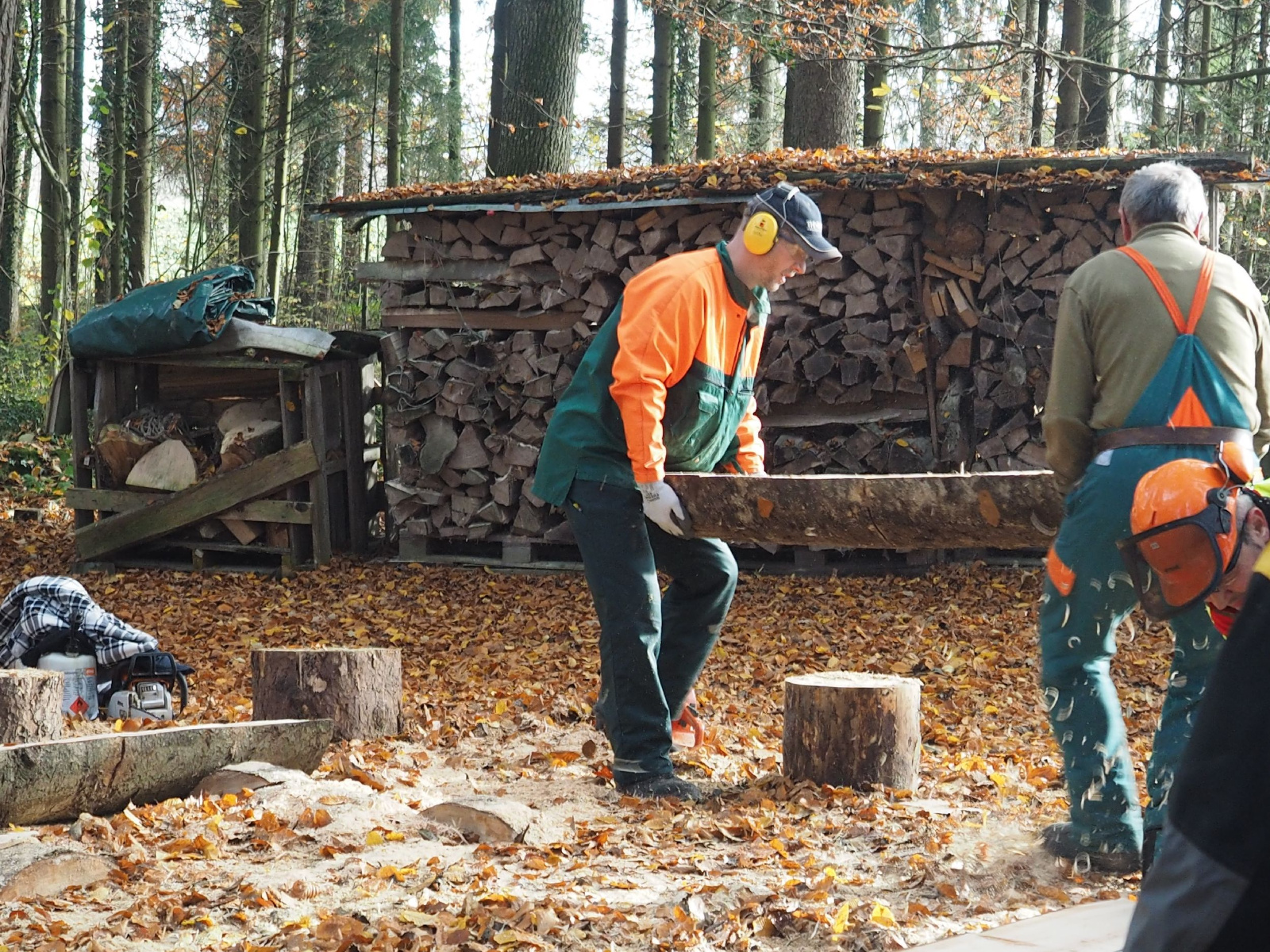 Baenkli 10 20160912 1657073962