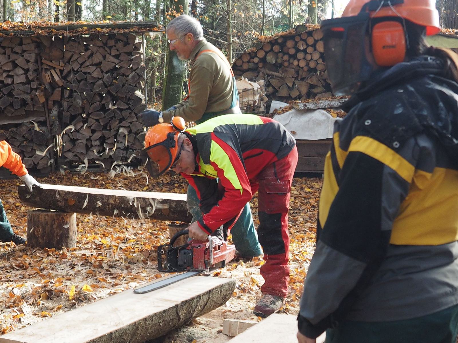 Baenkli 11 20160912 1661293871