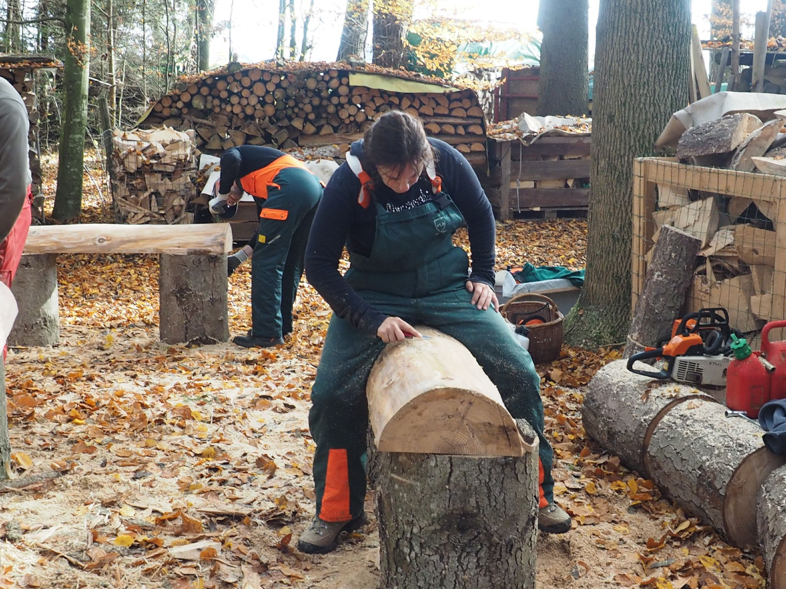 Baenkli 16 20160912 1523871223