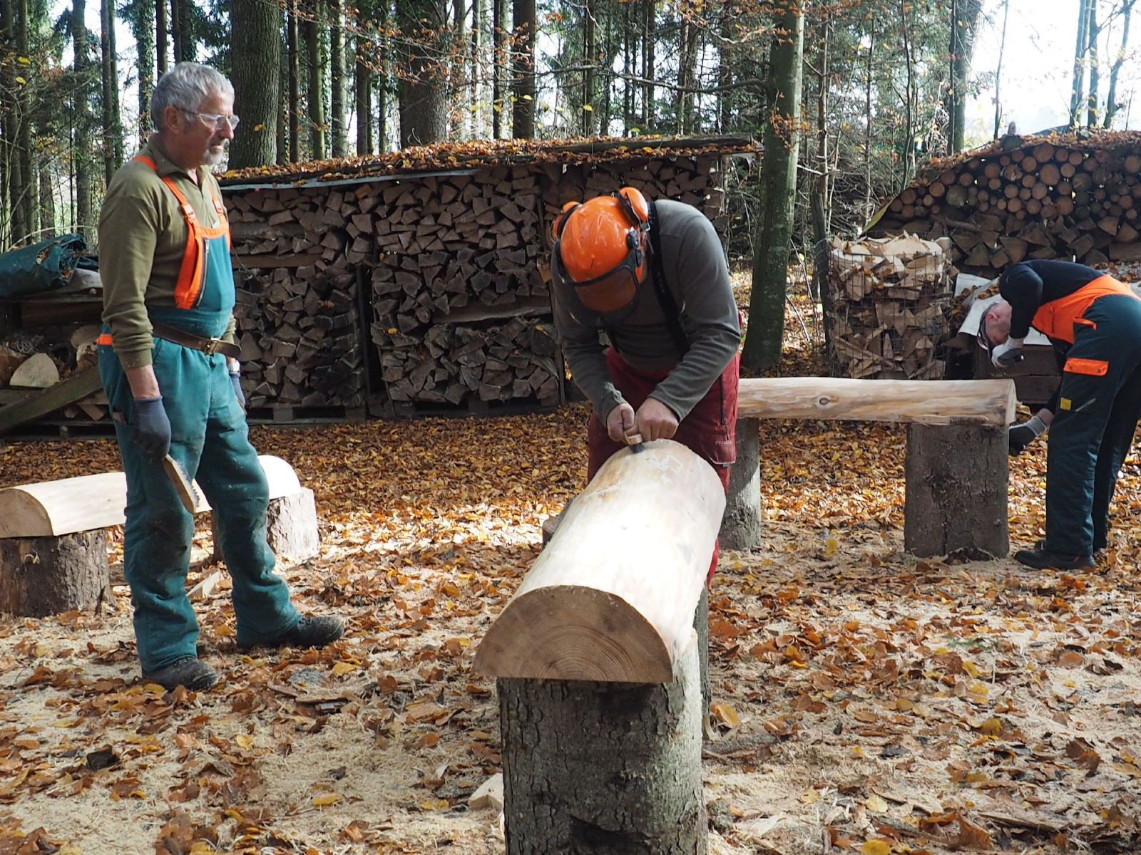 Baenkli 17 20160912 1534530164