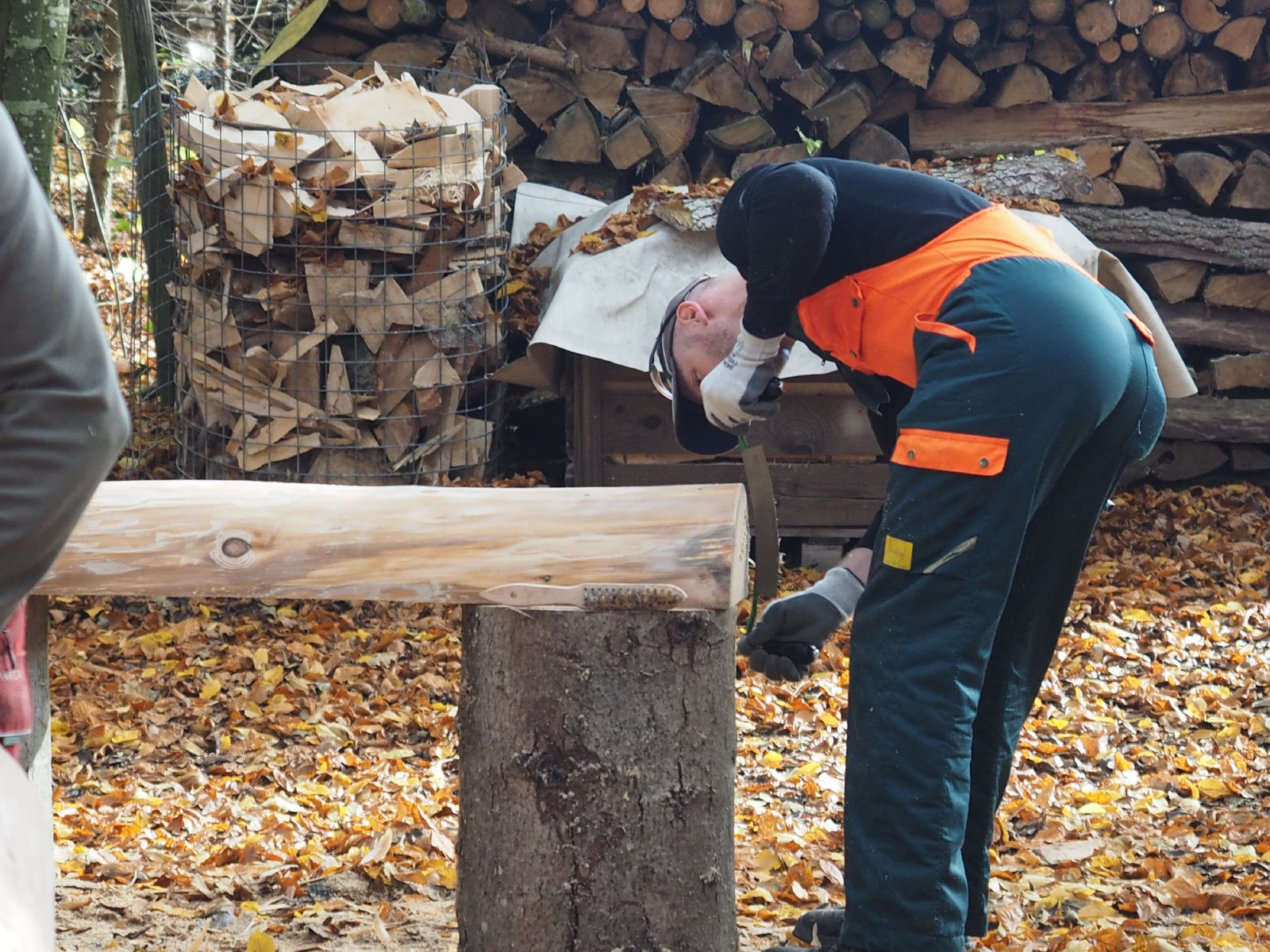 Baenkli 18 20160912 1087478809