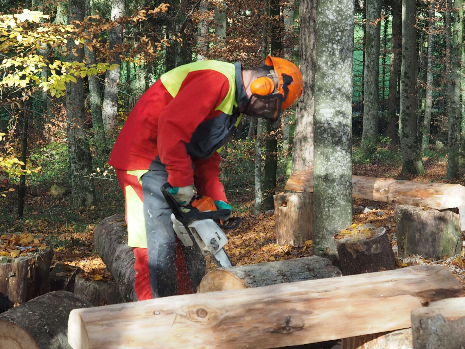 Baenkli 23 20160912 1963290172