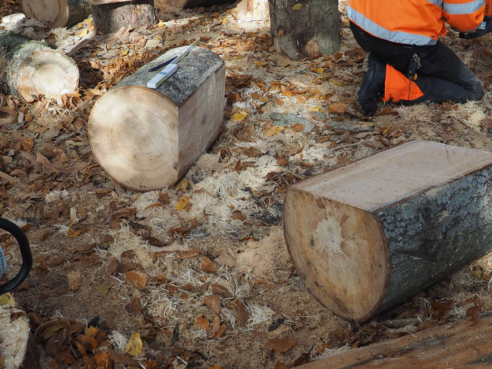 Baenkli 24 20160912 1850630337