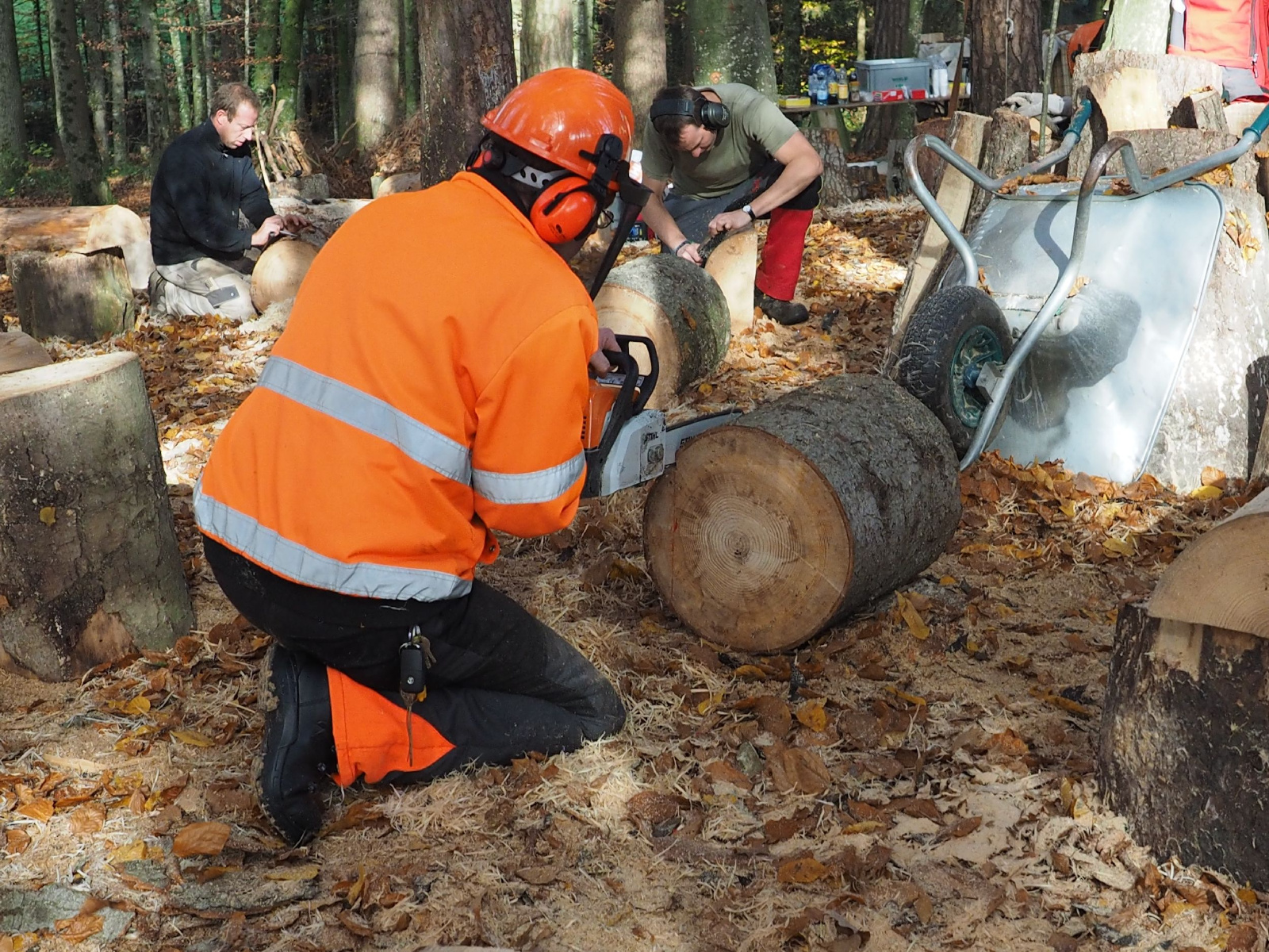 Baenkli 25 20160912 1120220912