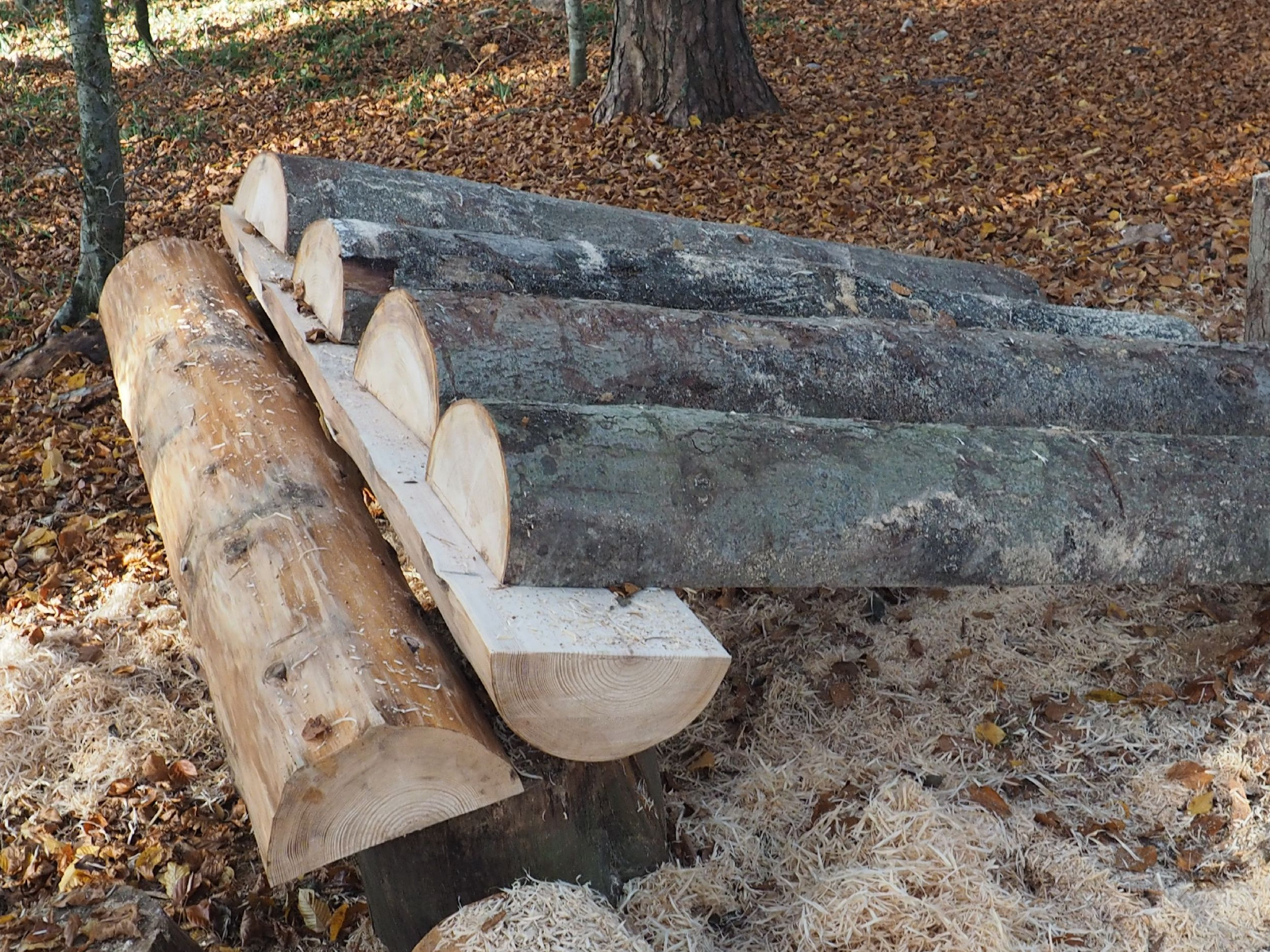 Baenkli 38 20160912 1559926108