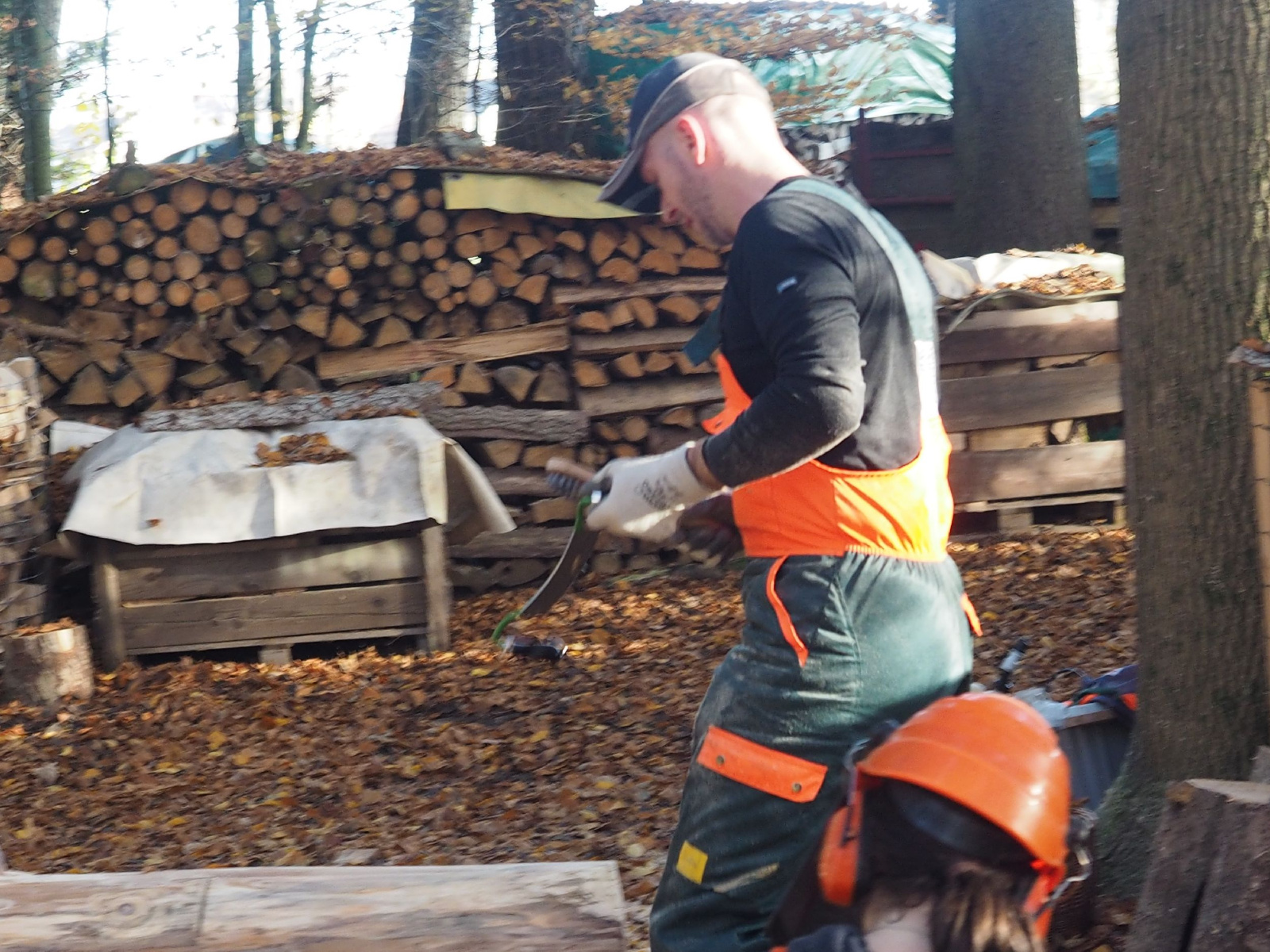 Baenkli 39 20160912 1040688257