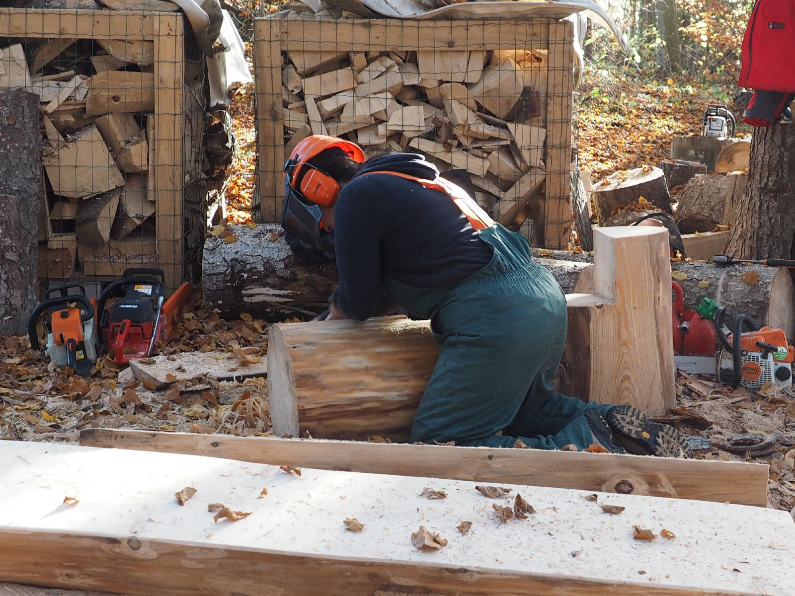 Baenkli 41 20160912 1117193602