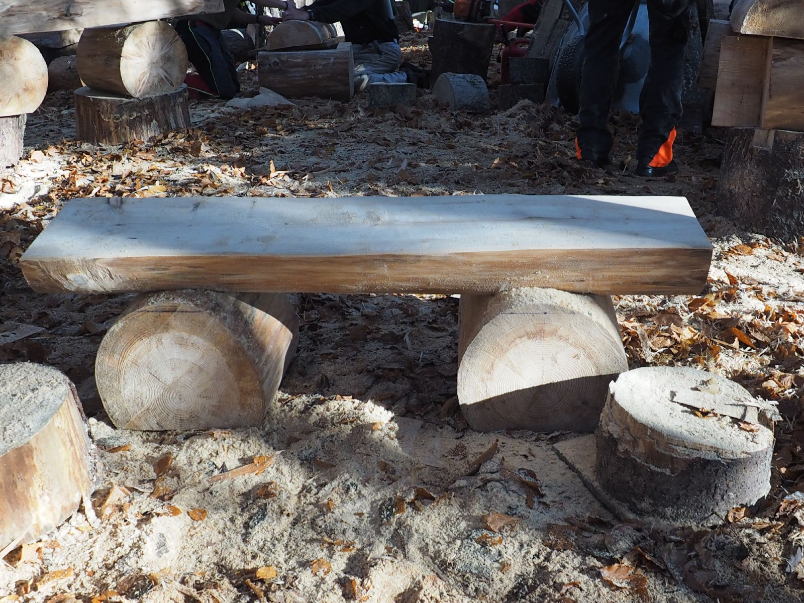 Baenkli 5 20160912 1773354997