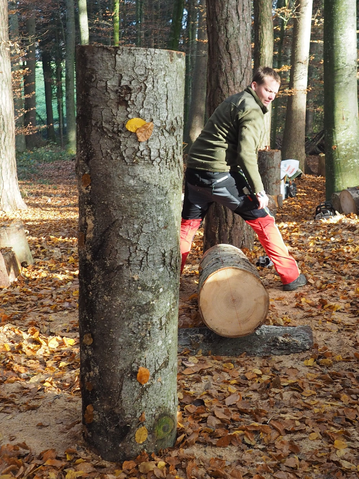 Baenkli 6 20160912 1983976271