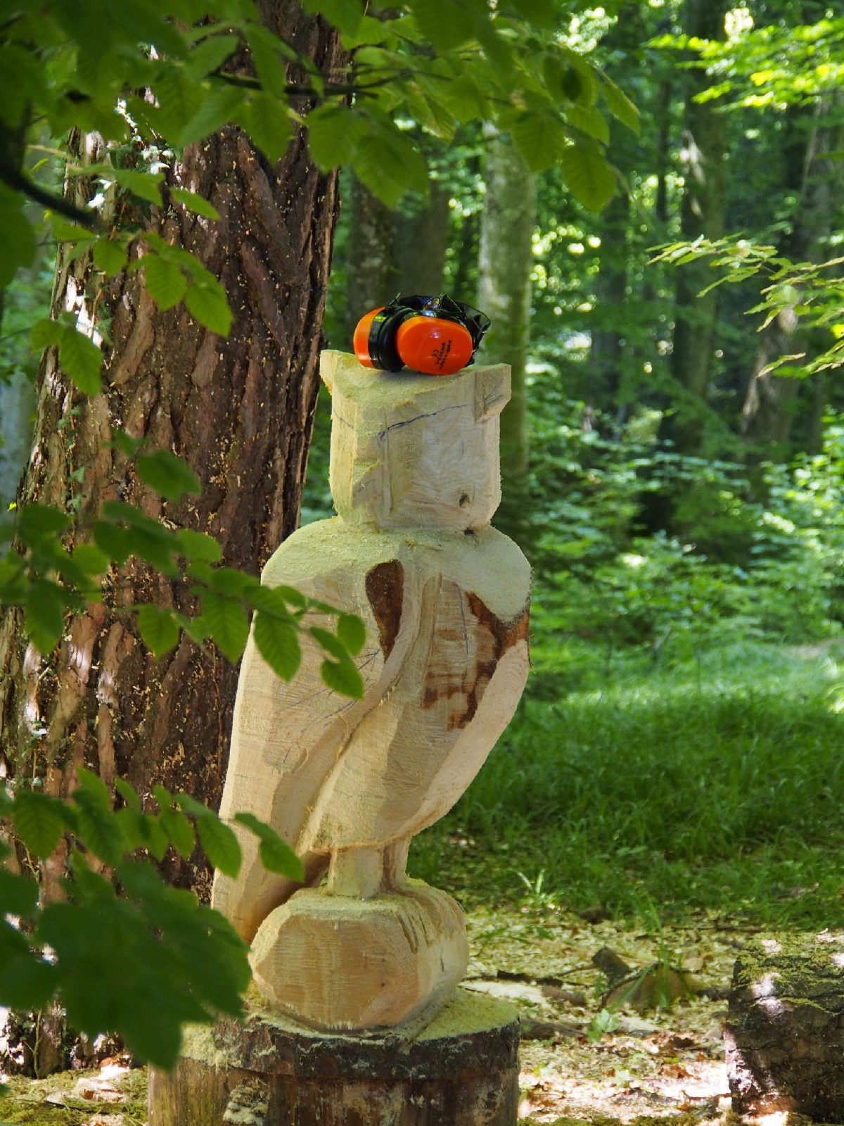 Jubilaeumskurs 10 20160912 1930267385