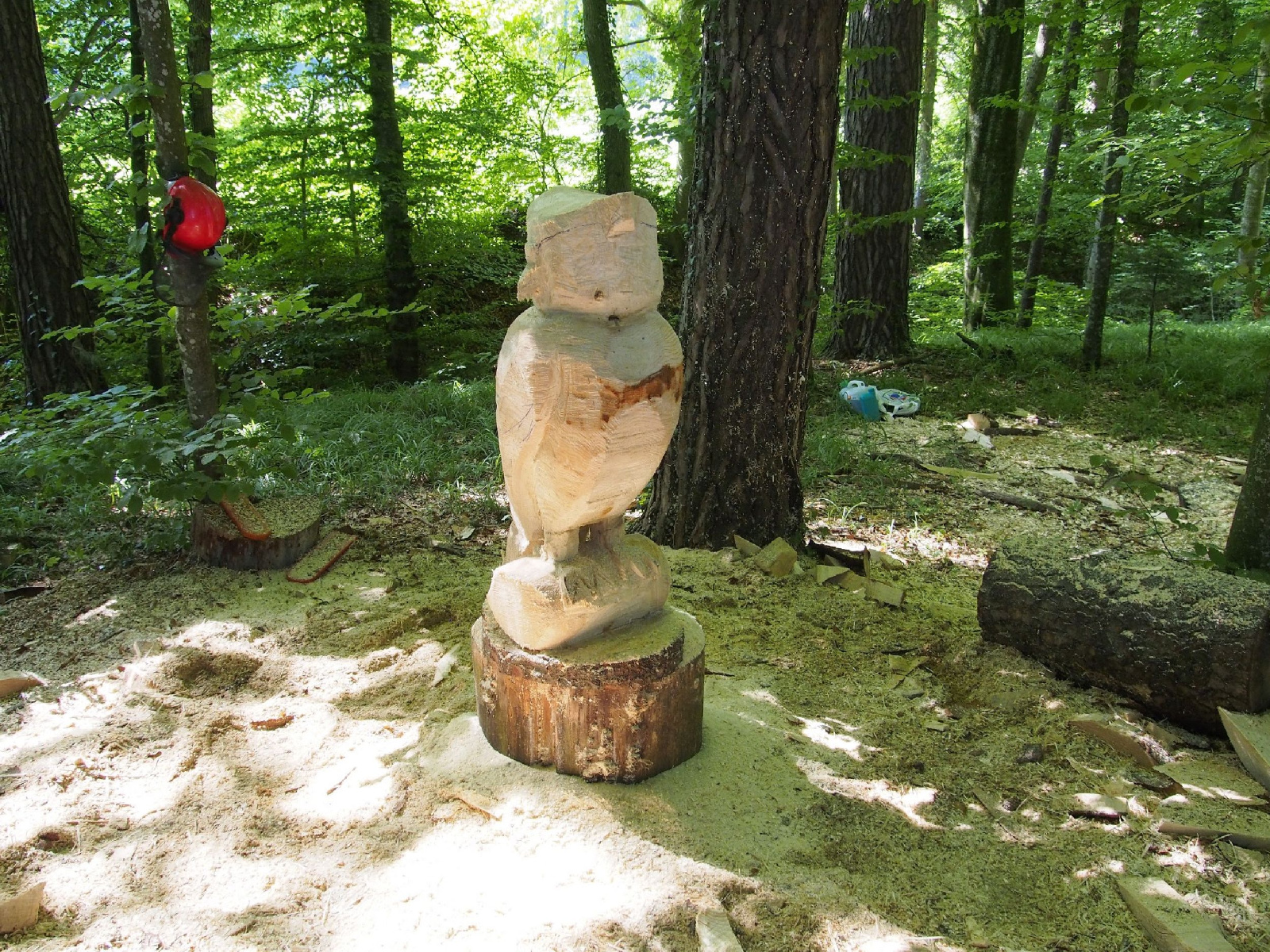 Jubilaeumskurs 15 20160912 1125539524