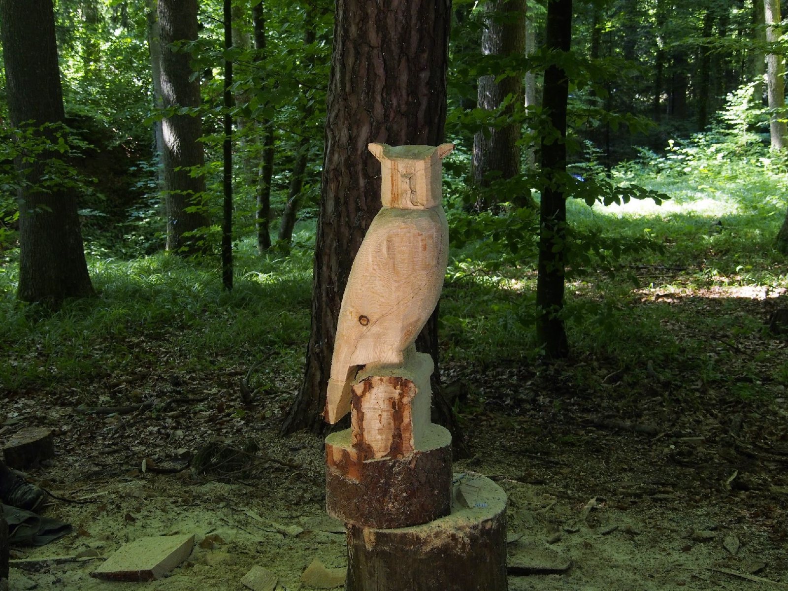 Jubilaeumskurs 17 20160912 1525220623