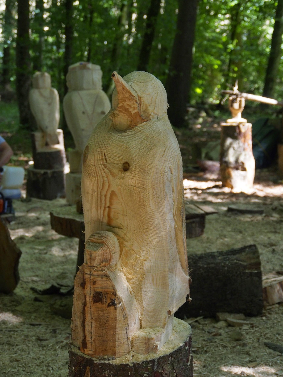 Jubilaeumskurs 22 20160912 1102896600