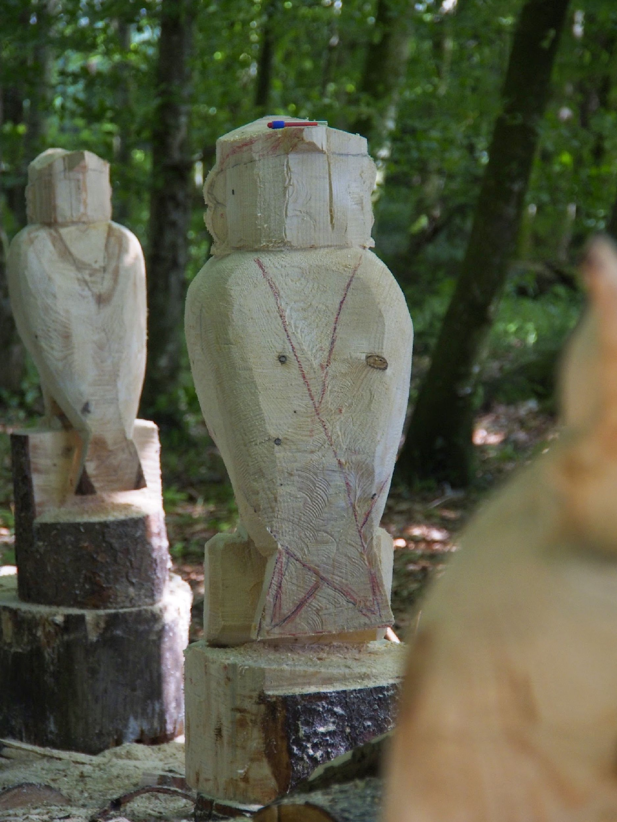 Jubilaeumskurs 25 20160912 1896787383