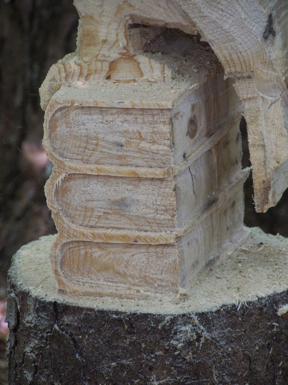 Jubilaeumskurs 35 20160912 1066272091