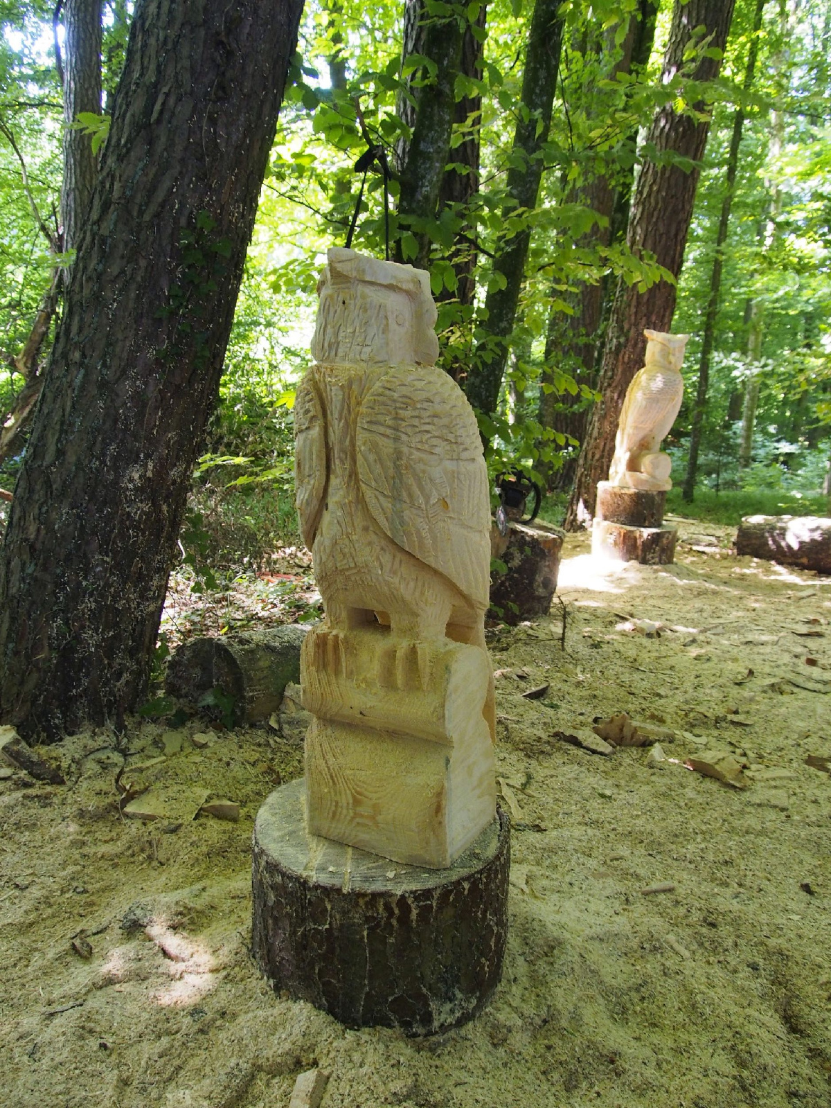 Jubilaeumskurs 40 20160912 1035444275