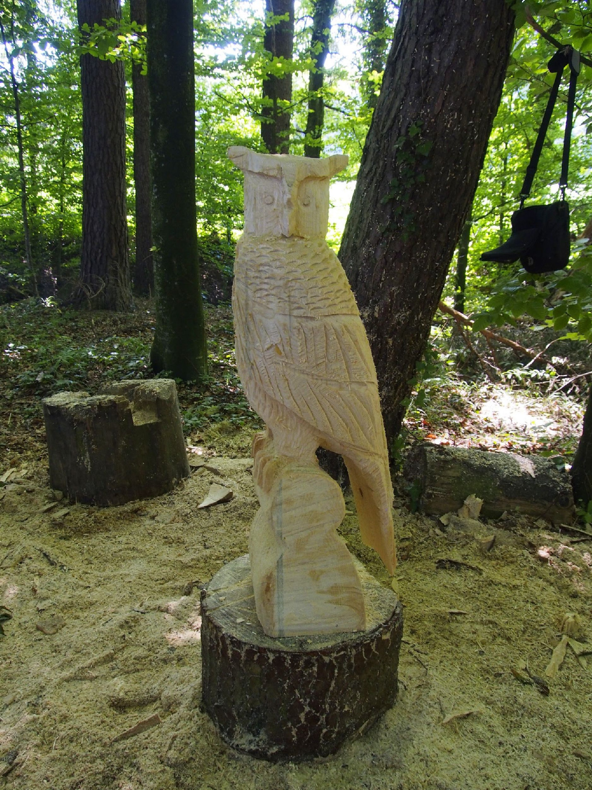 Jubilaeumskurs 41 20160912 1227046087