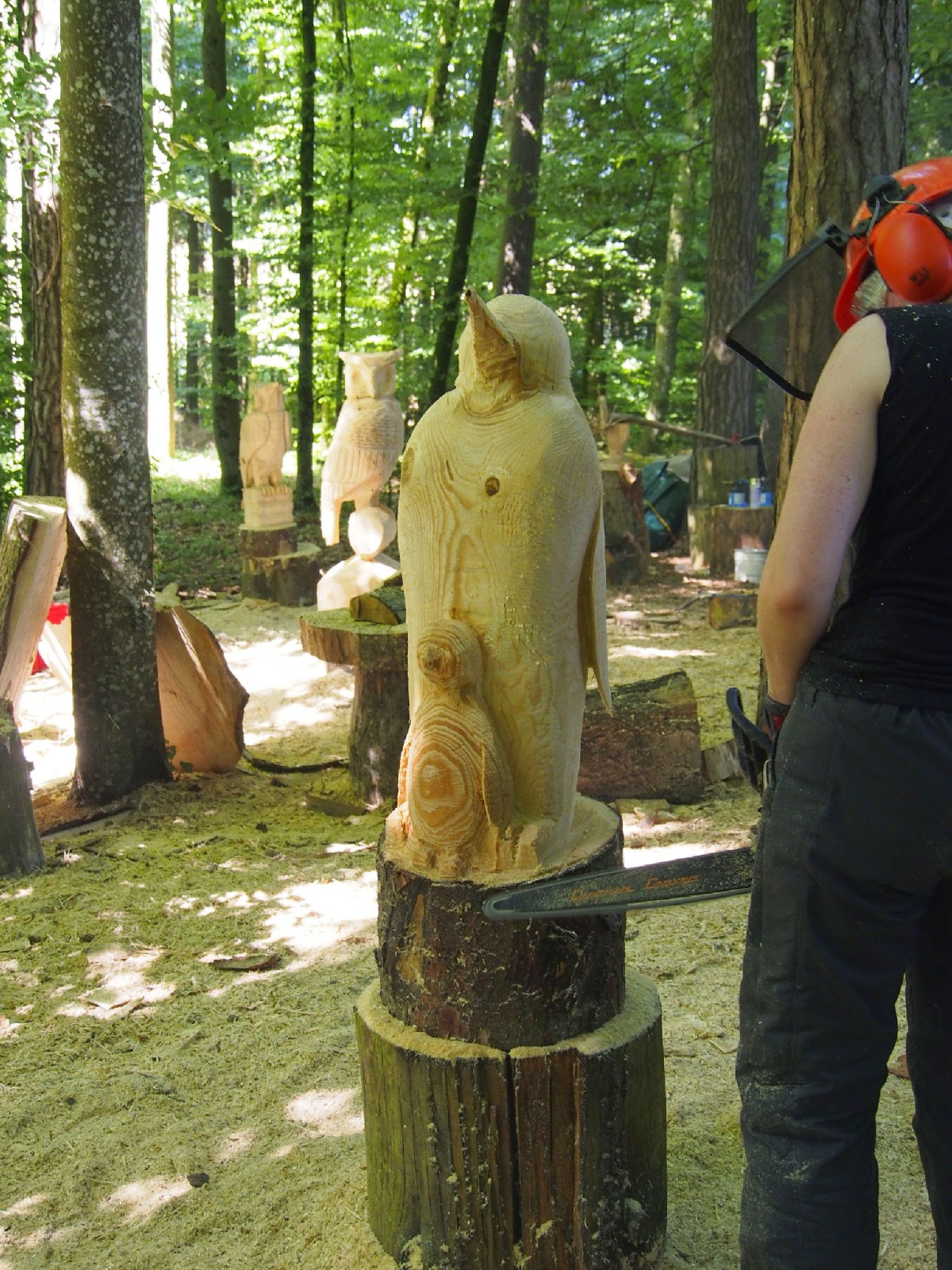 Jubilaeumskurs 42 20160912 2019196779