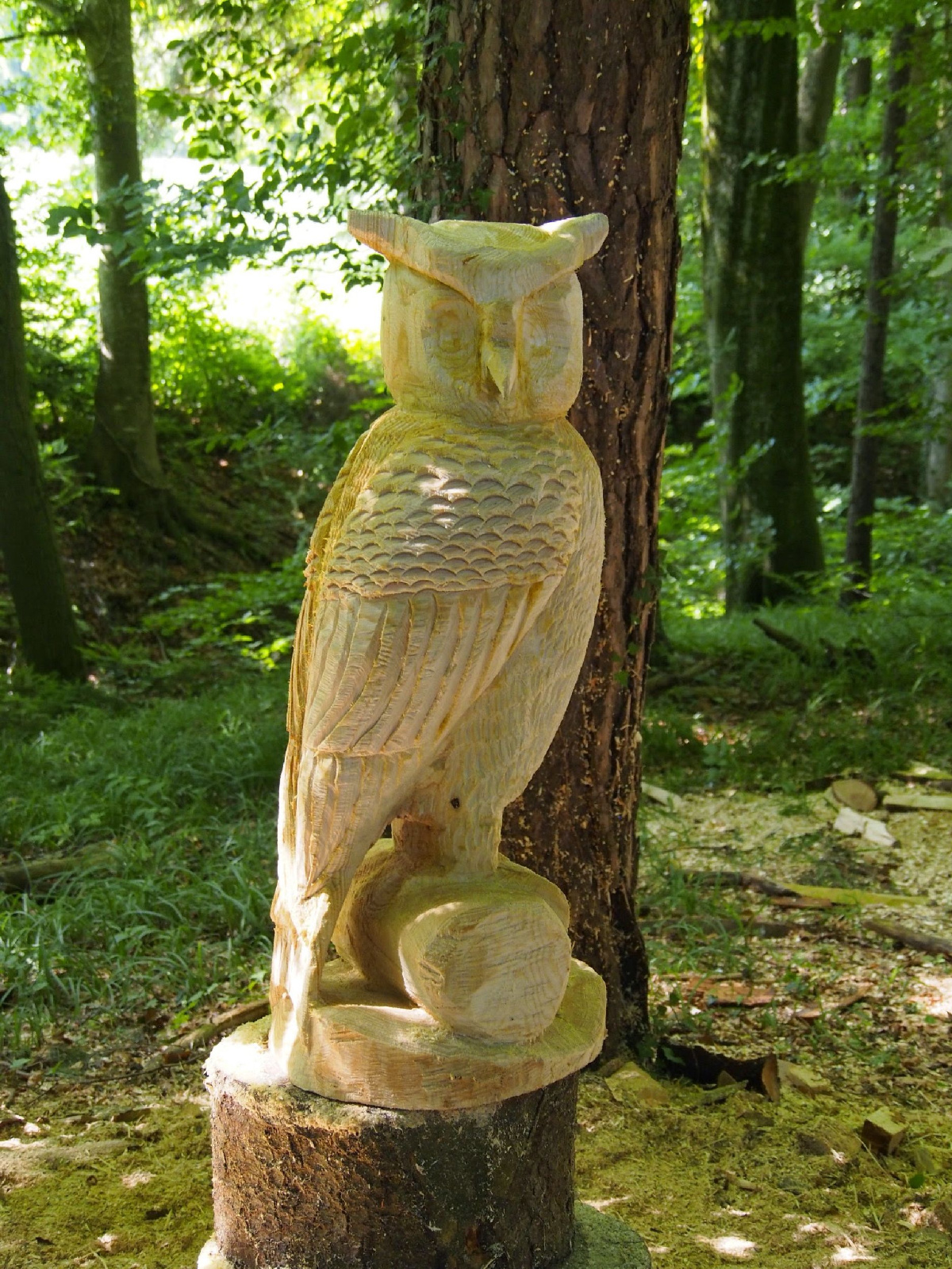 Jubilaeumskurs 43 20160912 1542302052