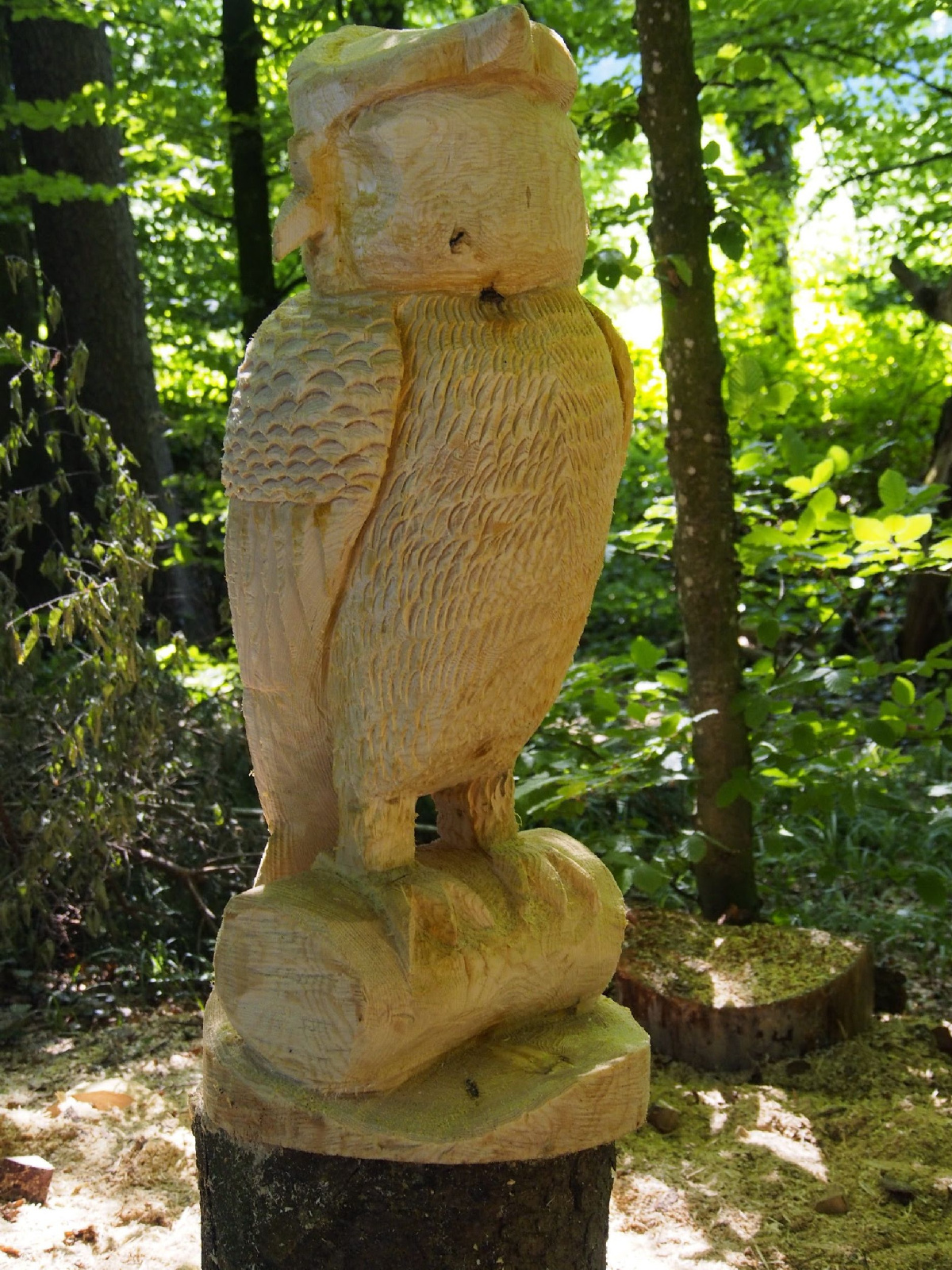 Jubilaeumskurs 44 20160912 1994321861