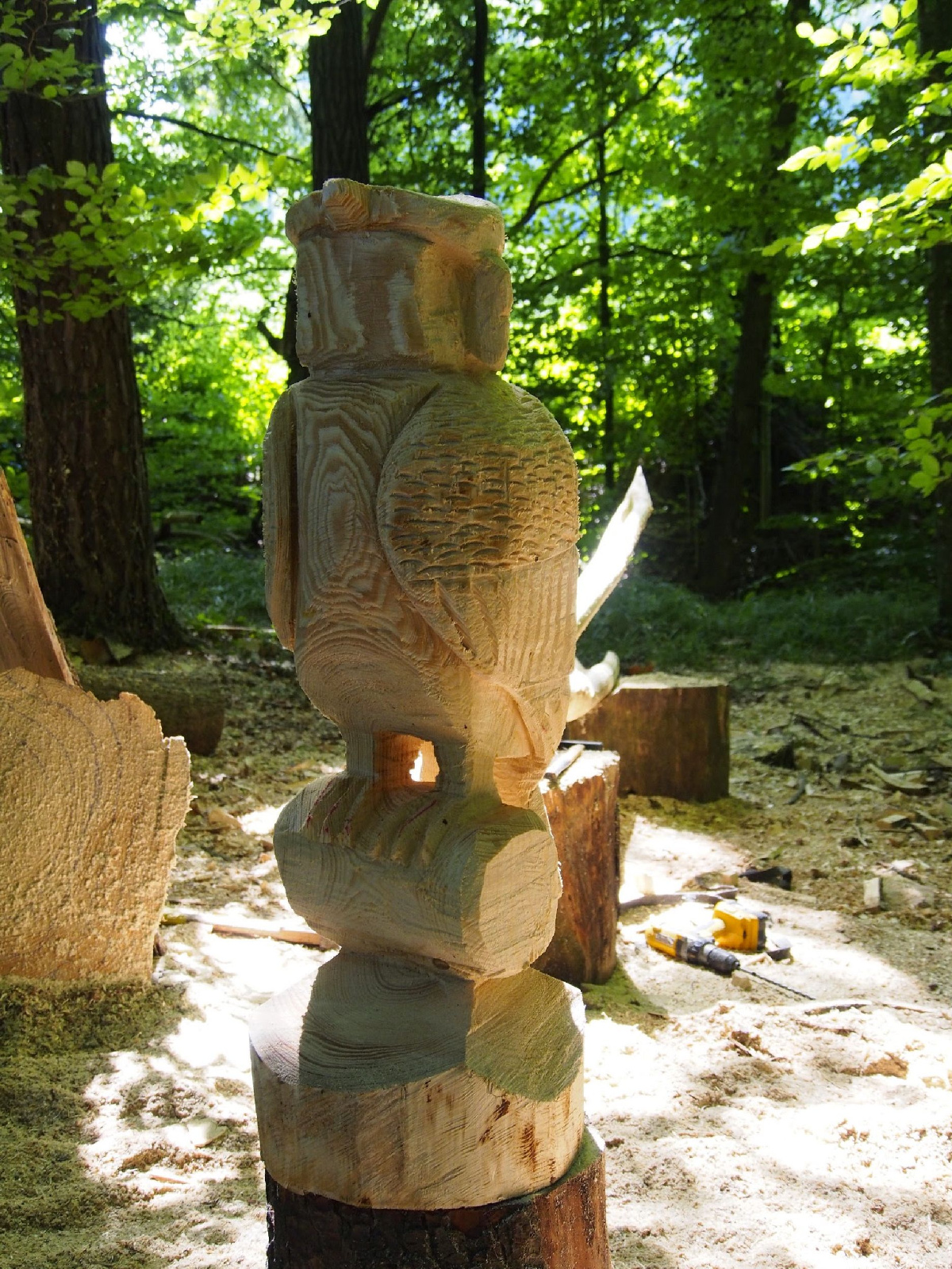 Jubilaeumskurs 46 20160912 1548114500