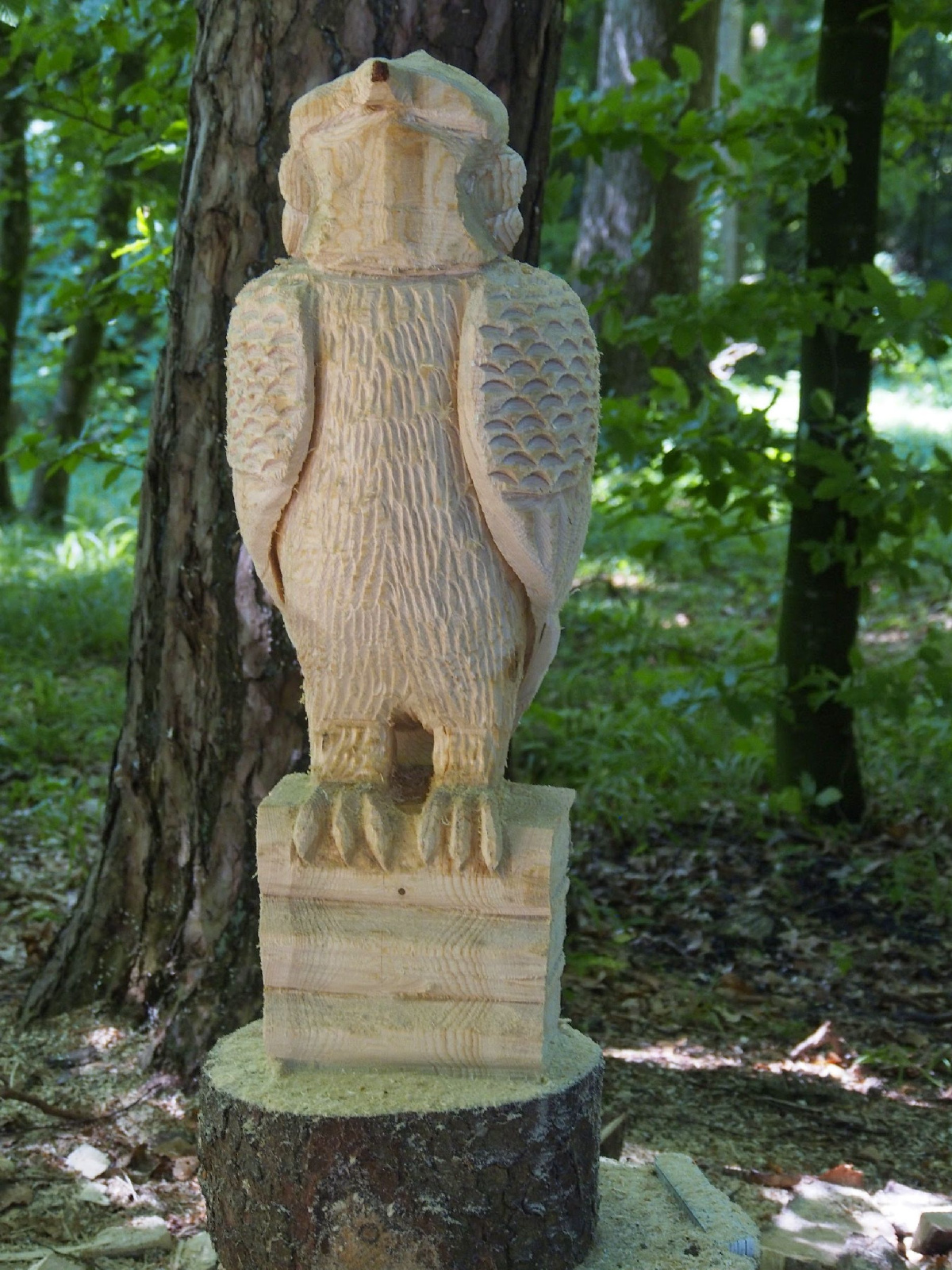 Jubilaeumskurs 47 20160912 1494146807