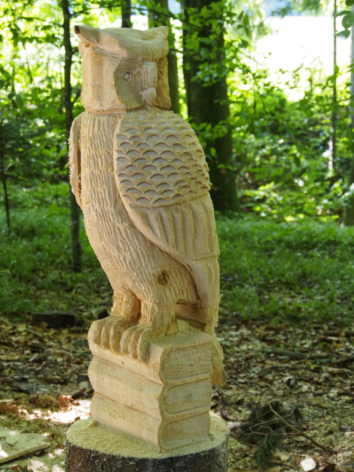 Jubilaeumskurs 48 20160912 1083881964