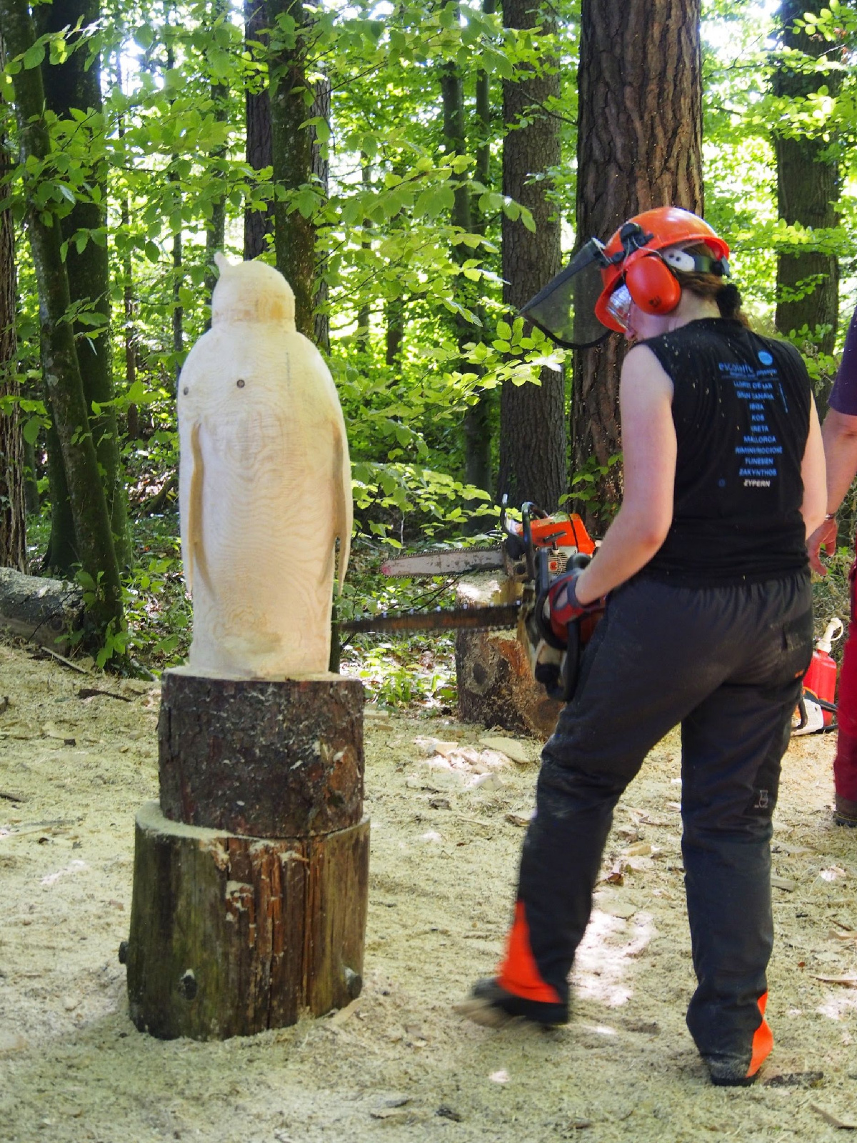 Jubilaeumskurs 51 20160912 1746039379