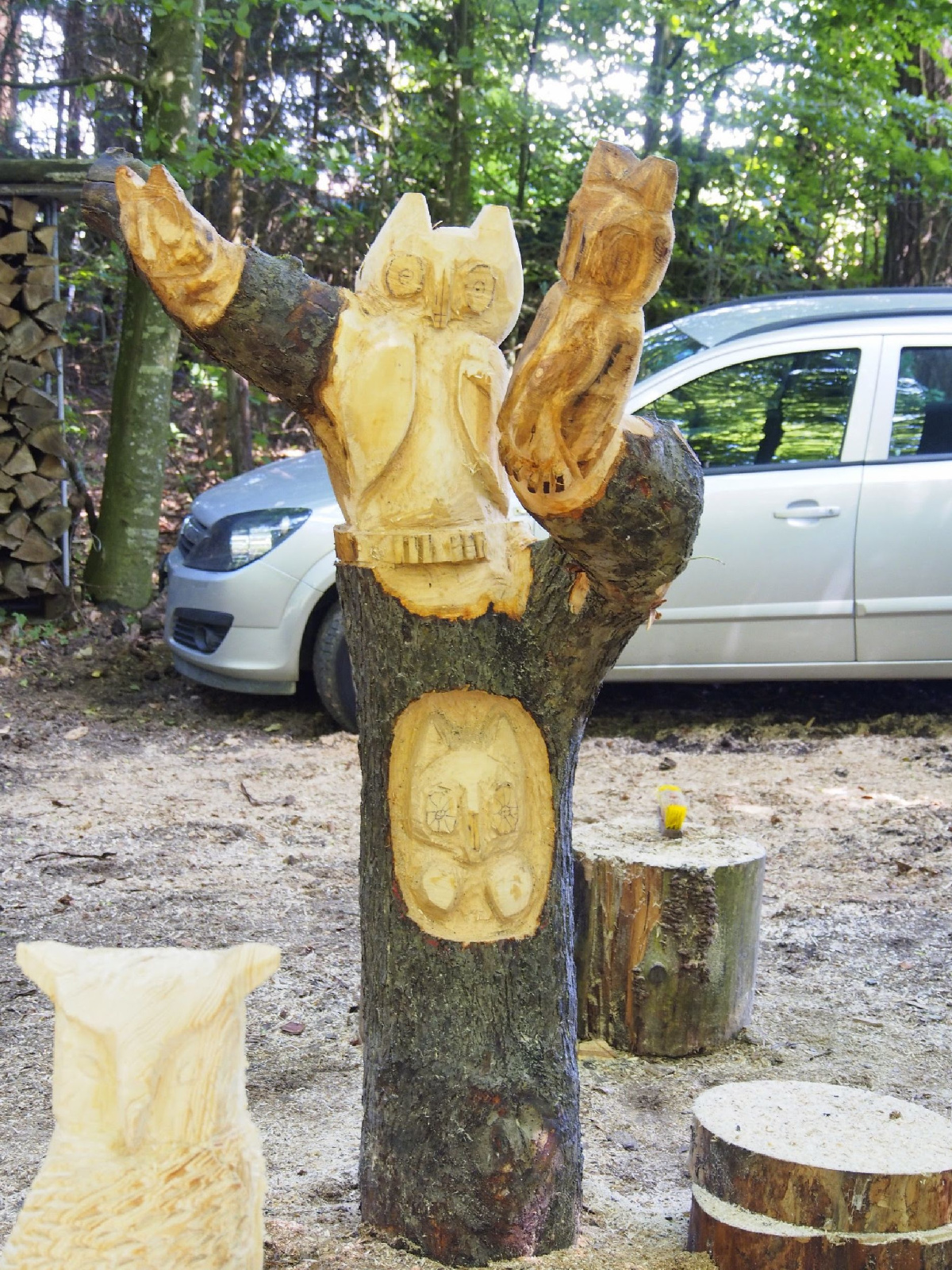 Jubilaeumskurs 55 20160912 2009708955