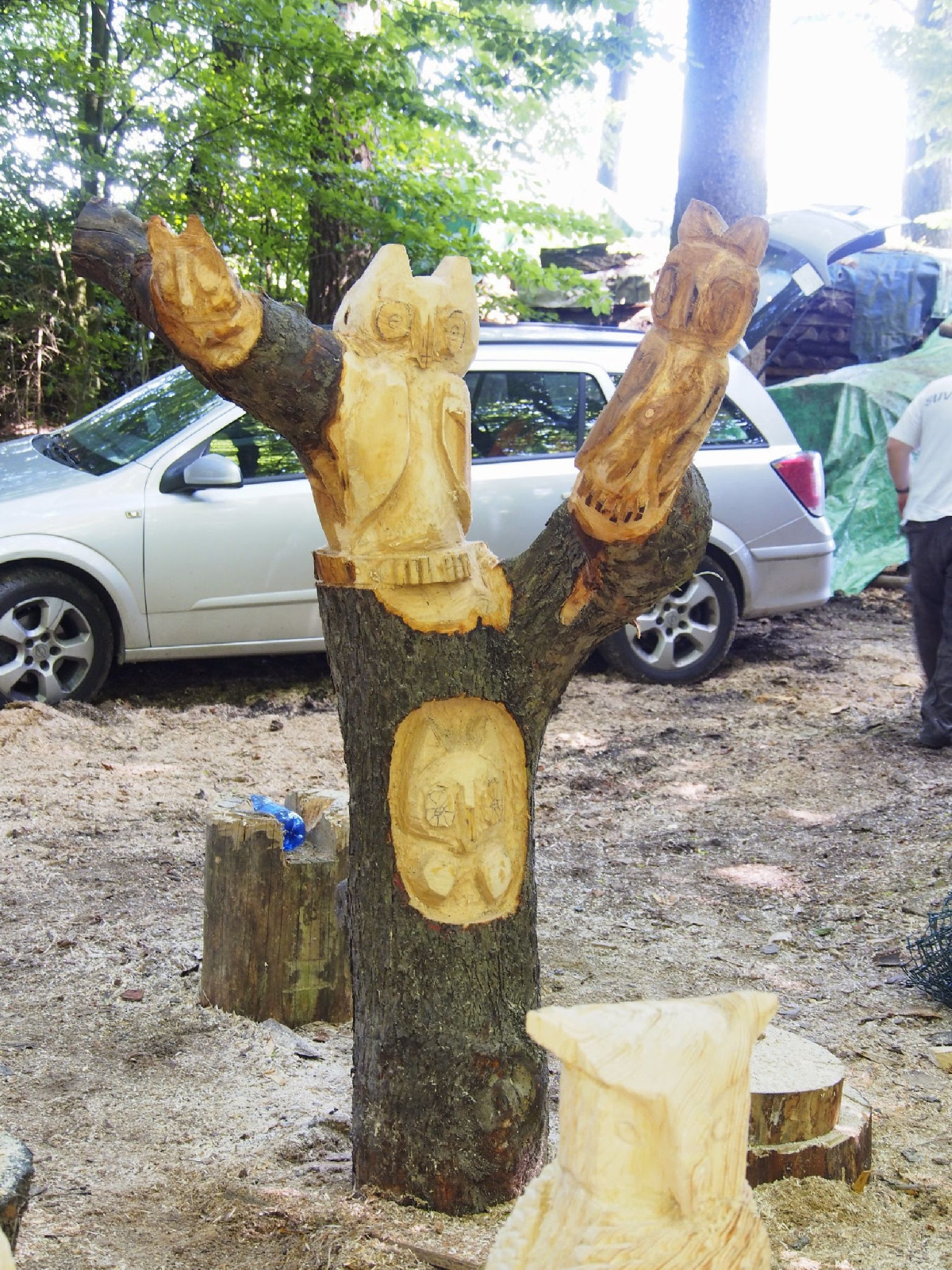 Jubilaeumskurs 56 20160912 1362235504