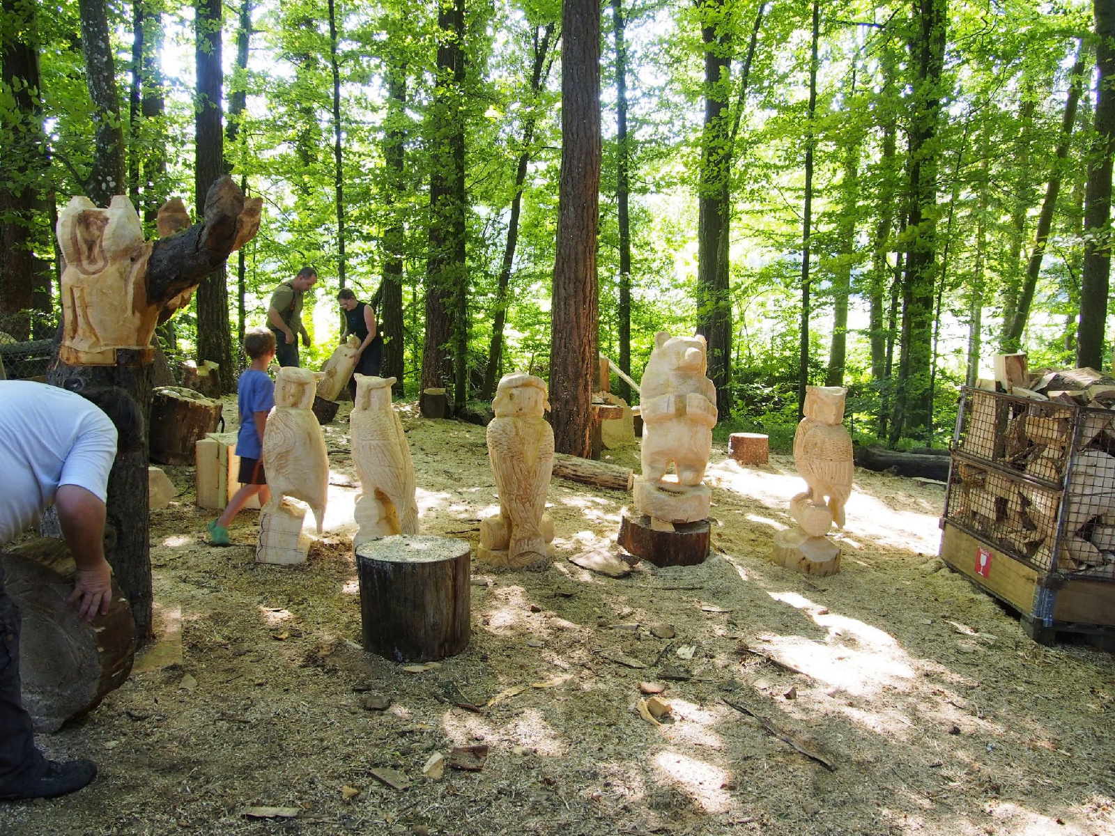 Jubilaeumskurs 57 20160912 1110720673