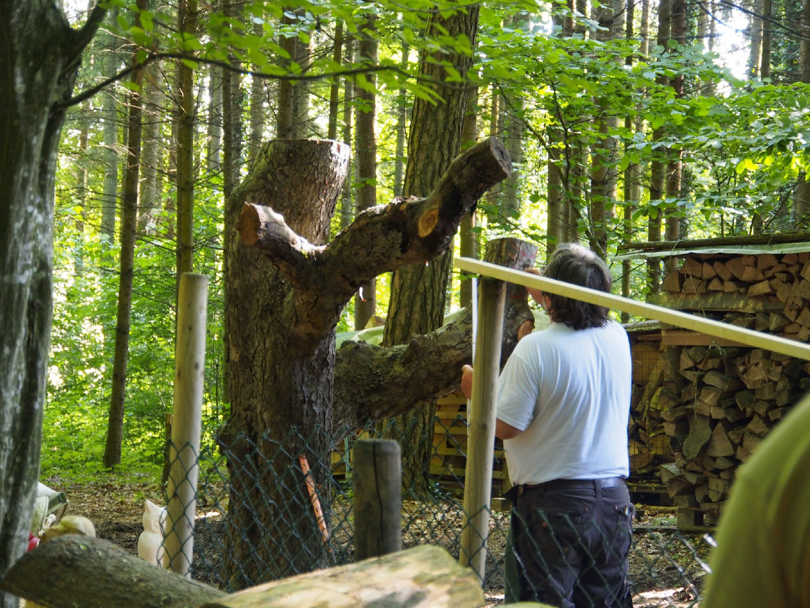 Jubilaeumskurs 61 20160912 1450852594