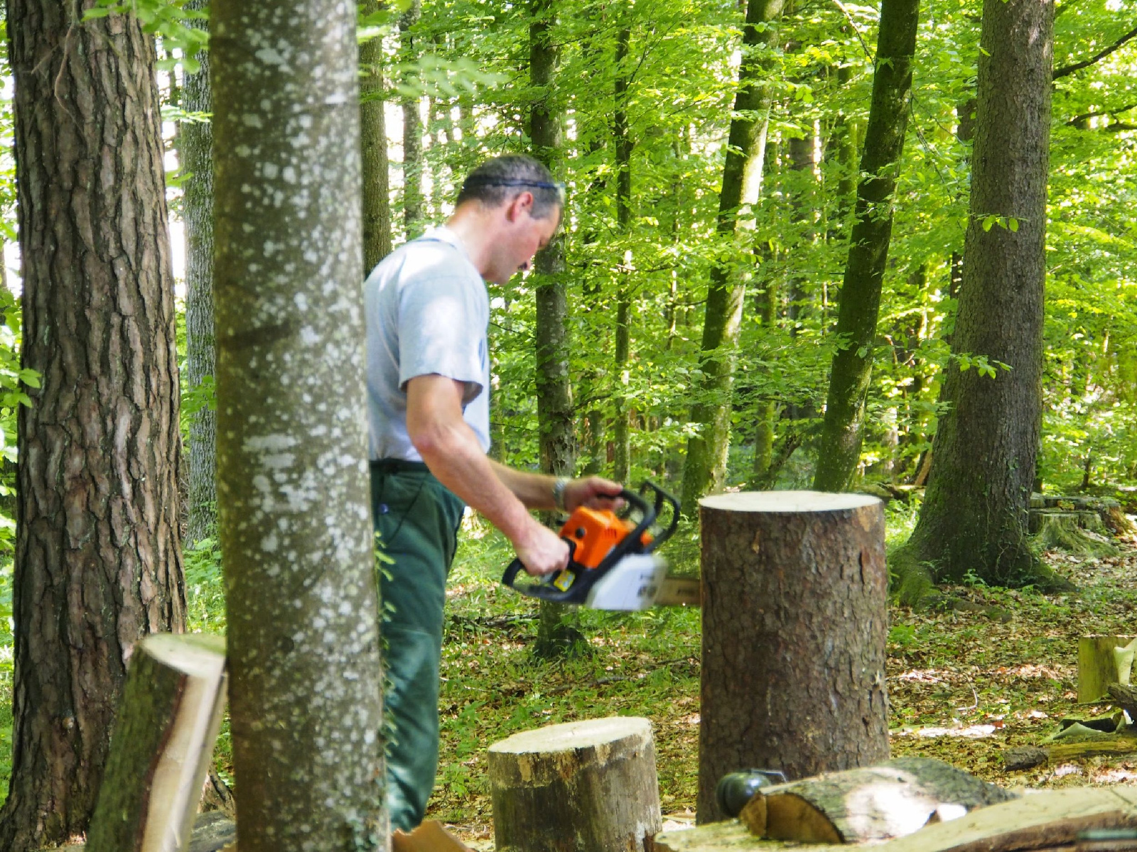 Jubilaeumskurs 65 20160912 1747020827