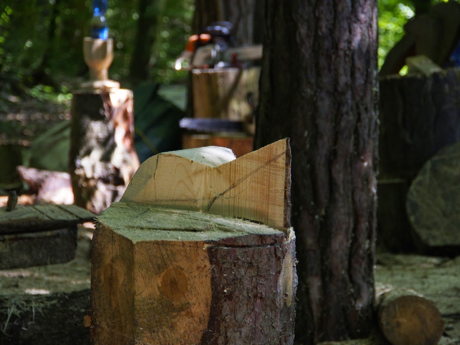 Jubilaeumskurs 6 20160912 1893506384