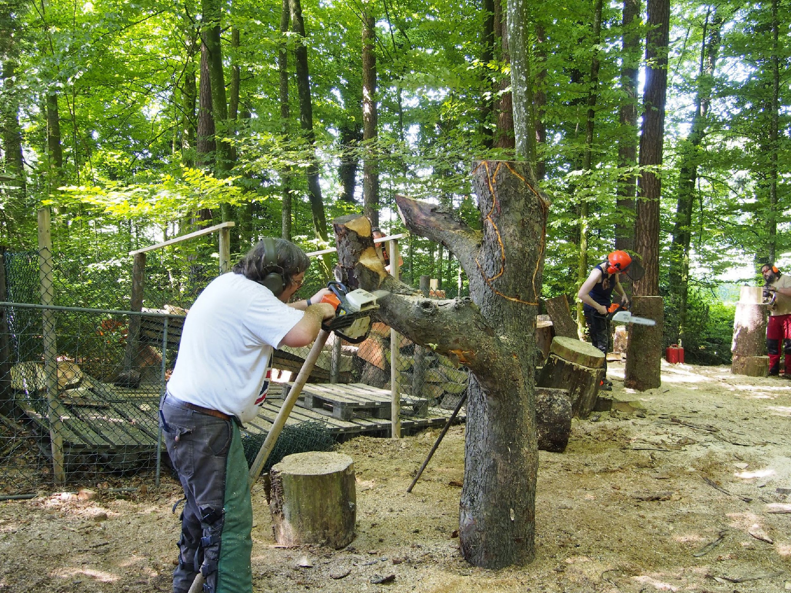 Jubilaeumskurs 70 20160912 1967148631