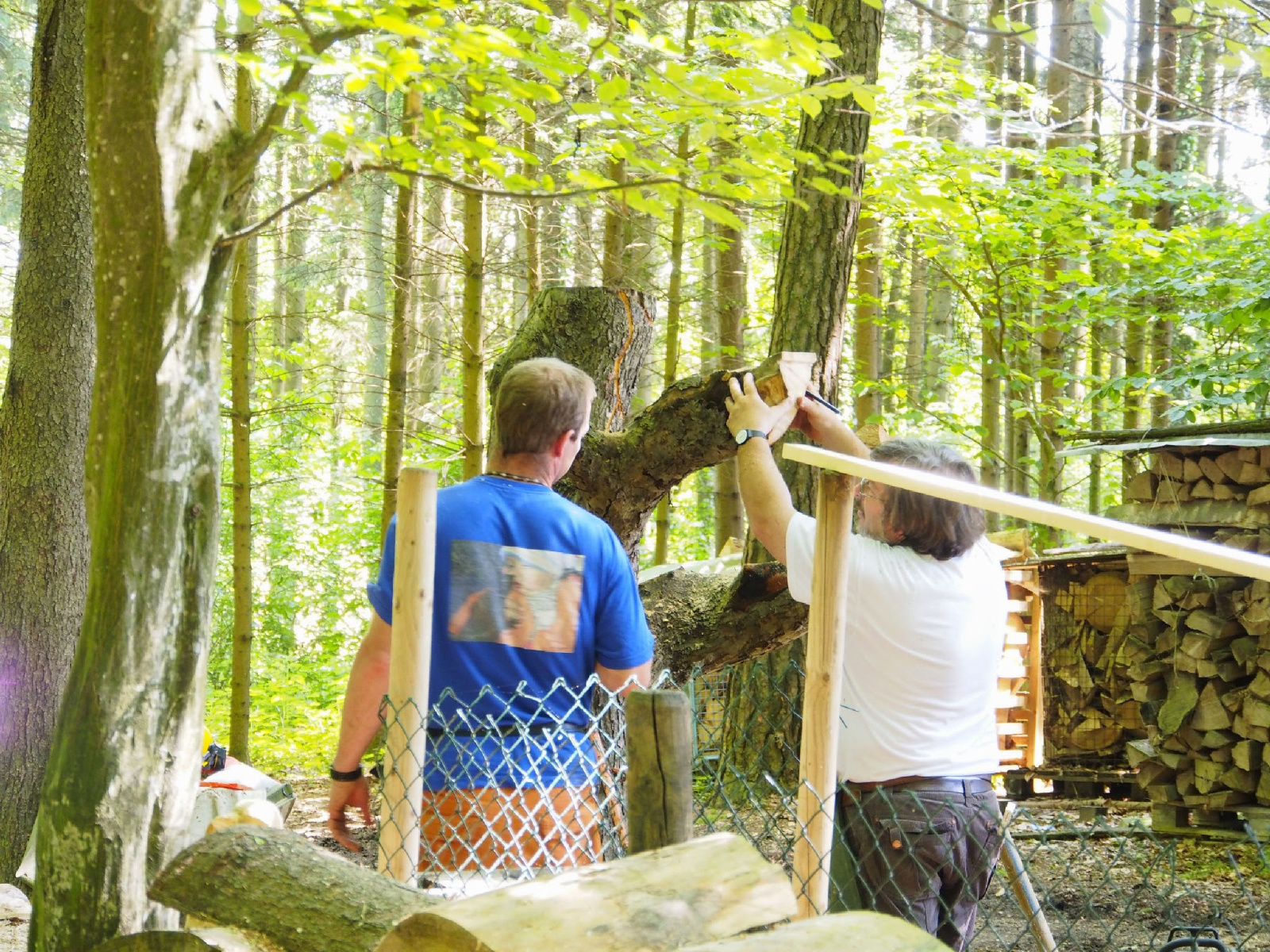 Jubilaeumskurs 7 20160912 1023441667