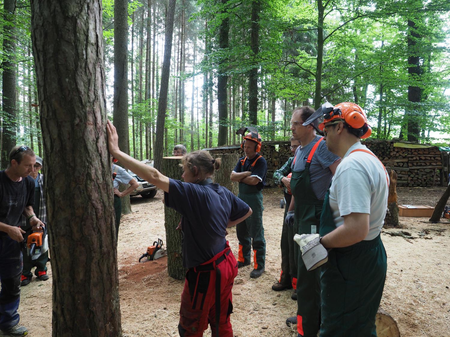 Mach was wotsch 103 20180610 1314688972