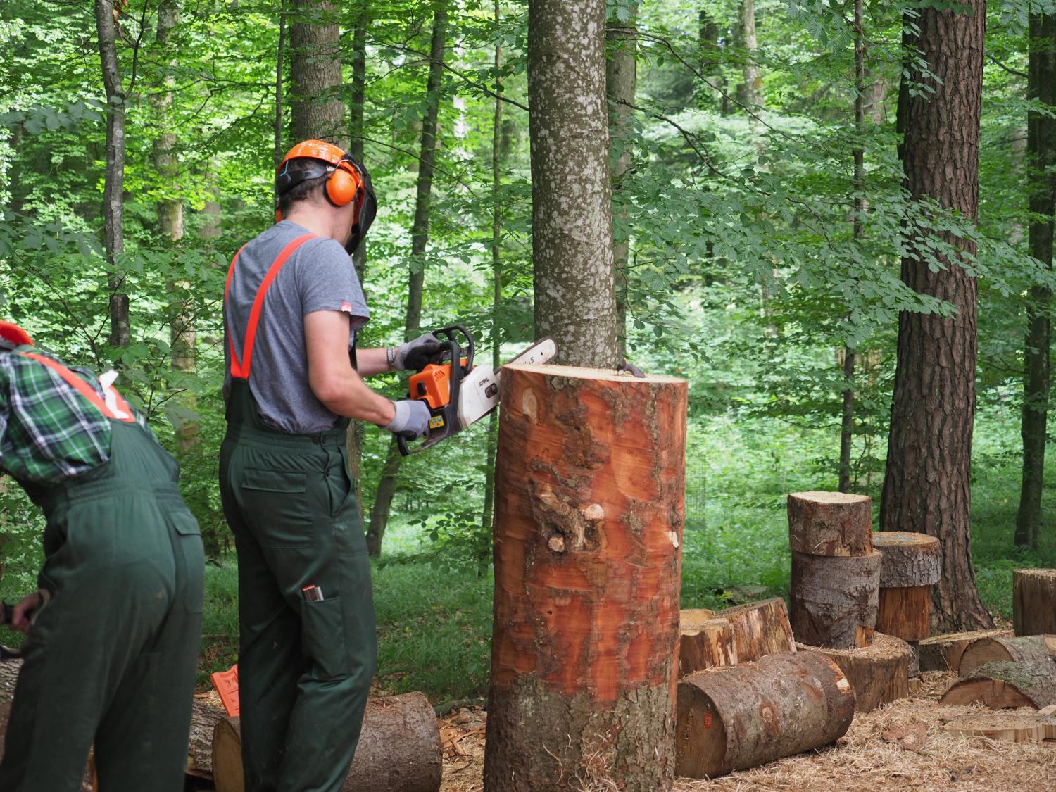 Mach was wotsch 104 20180610 1658454404