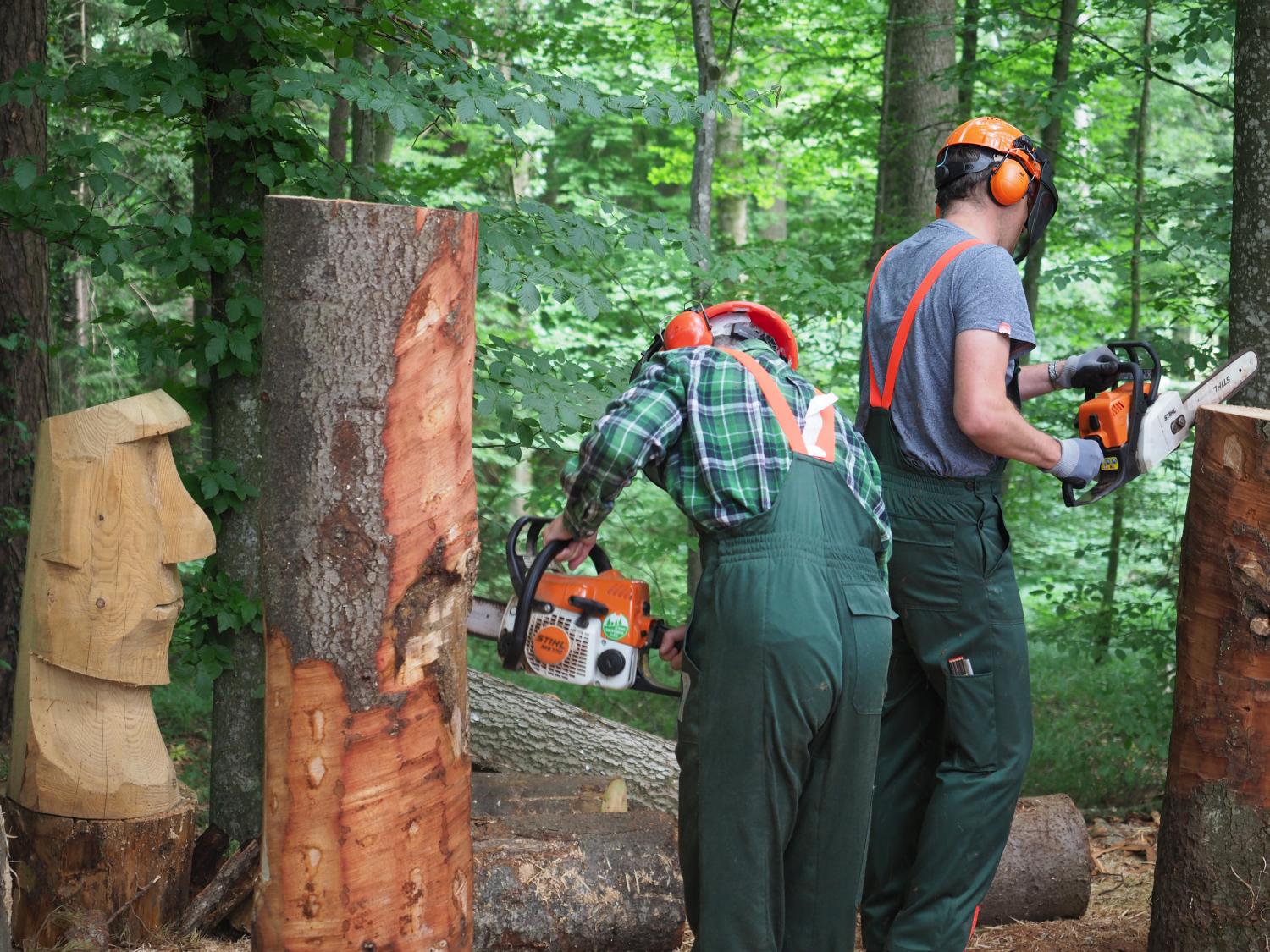 Mach was wotsch 105 20180610 1742767358