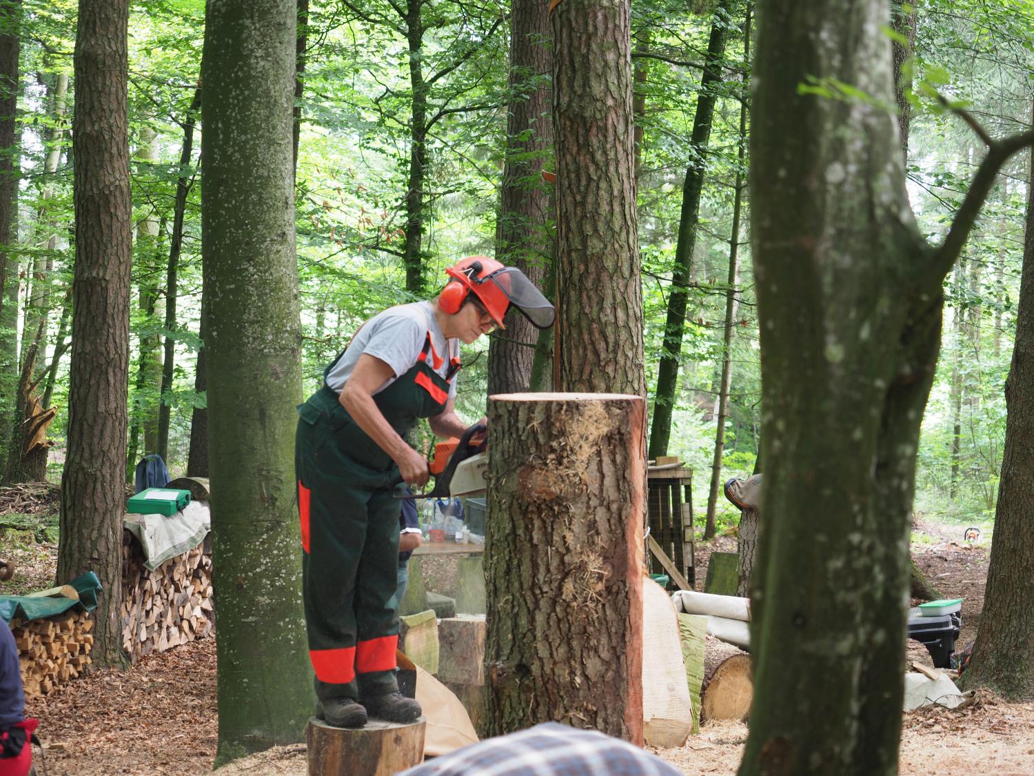 Mach was wotsch 106 20180610 1843534481