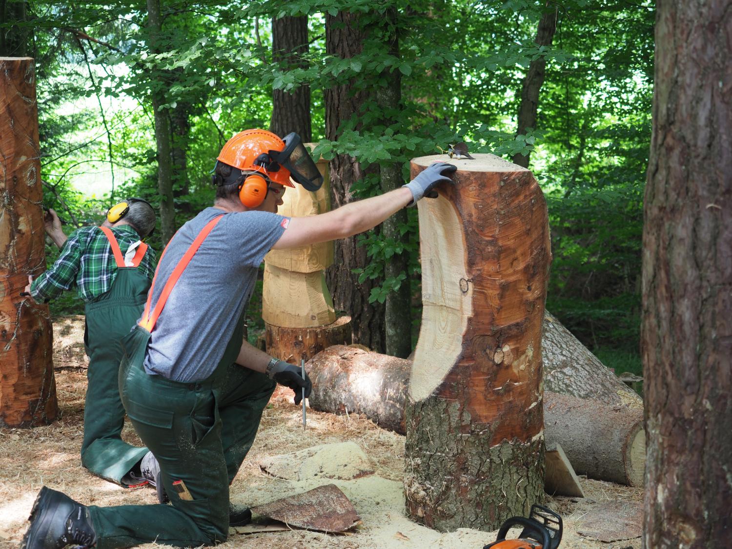 Mach was wotsch 11 20180610 1731489581