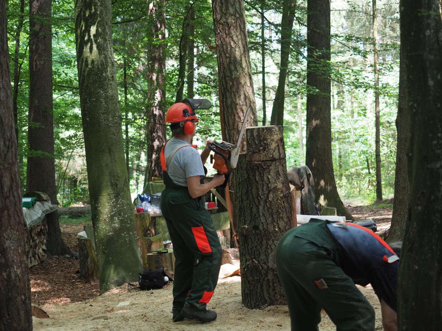 Mach was wotsch 16 20180610 1141786784