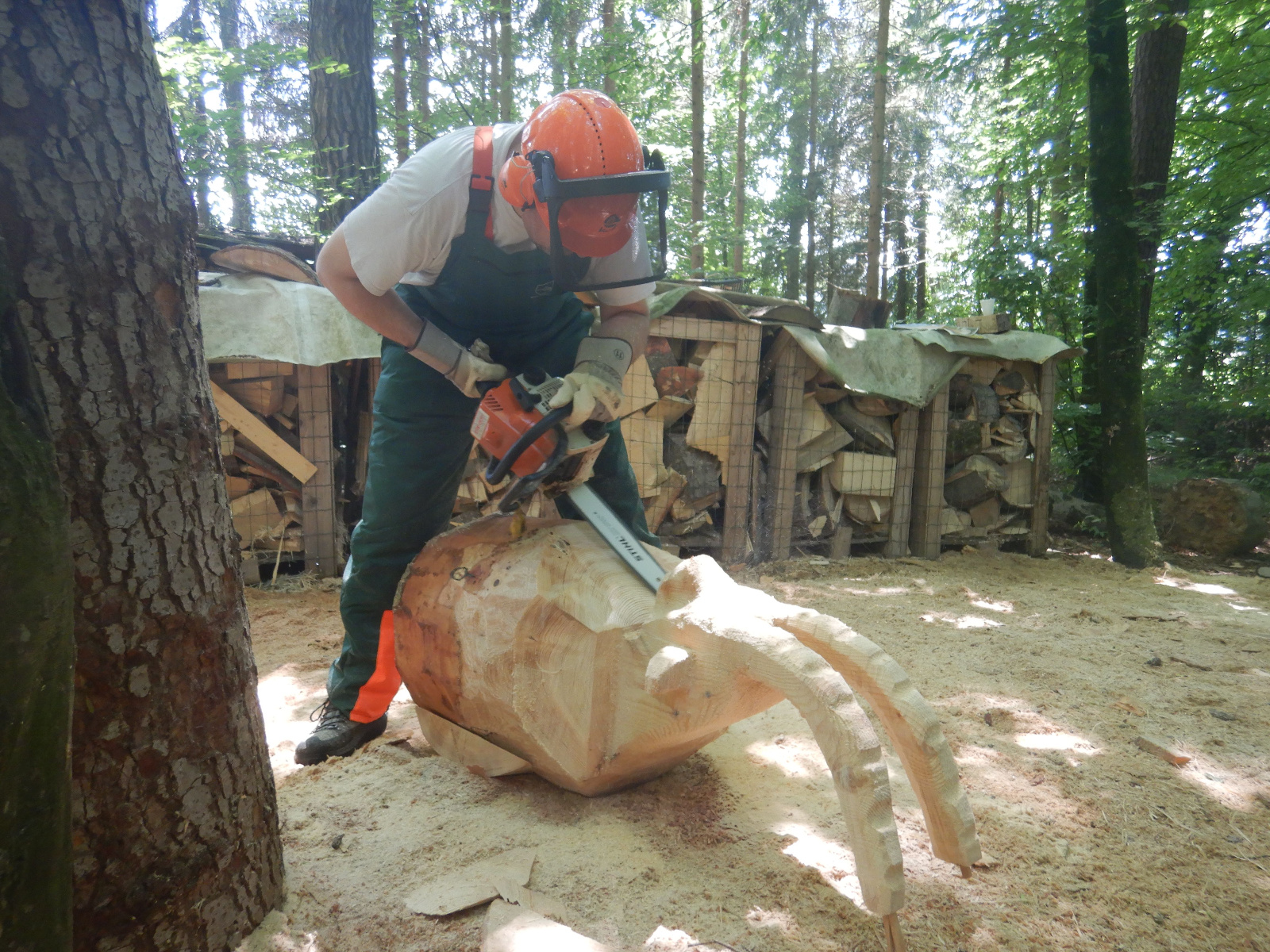 Mach was wotsch 19 20180628 1152604556