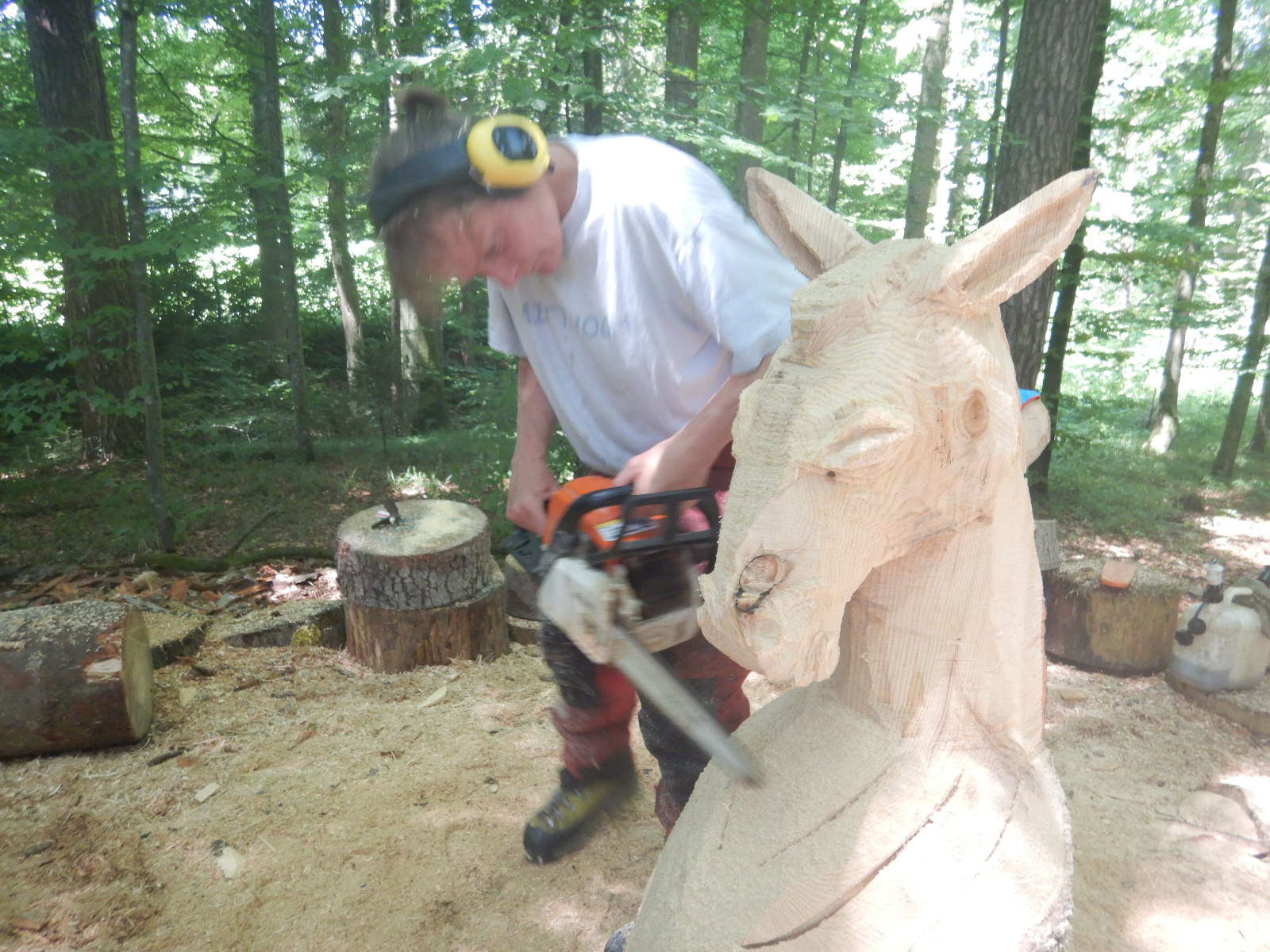 Mach was wotsch 21 20180628 1659420275