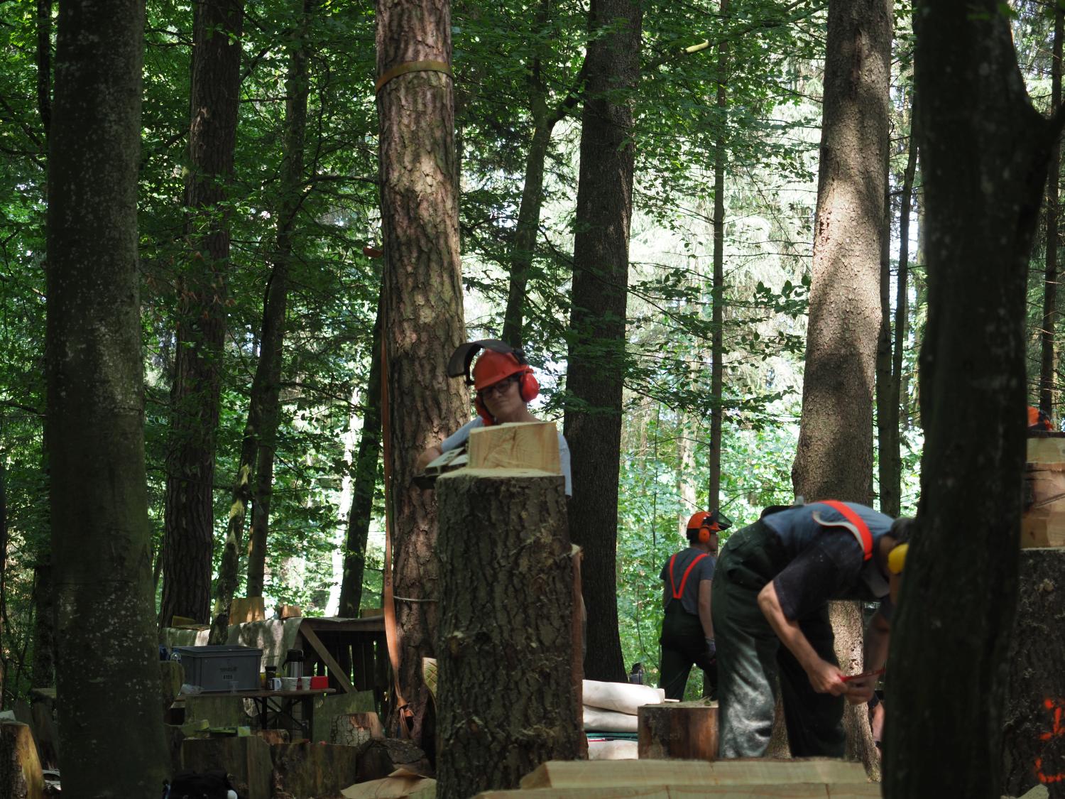 Mach was wotsch 24 20180610 1477774691