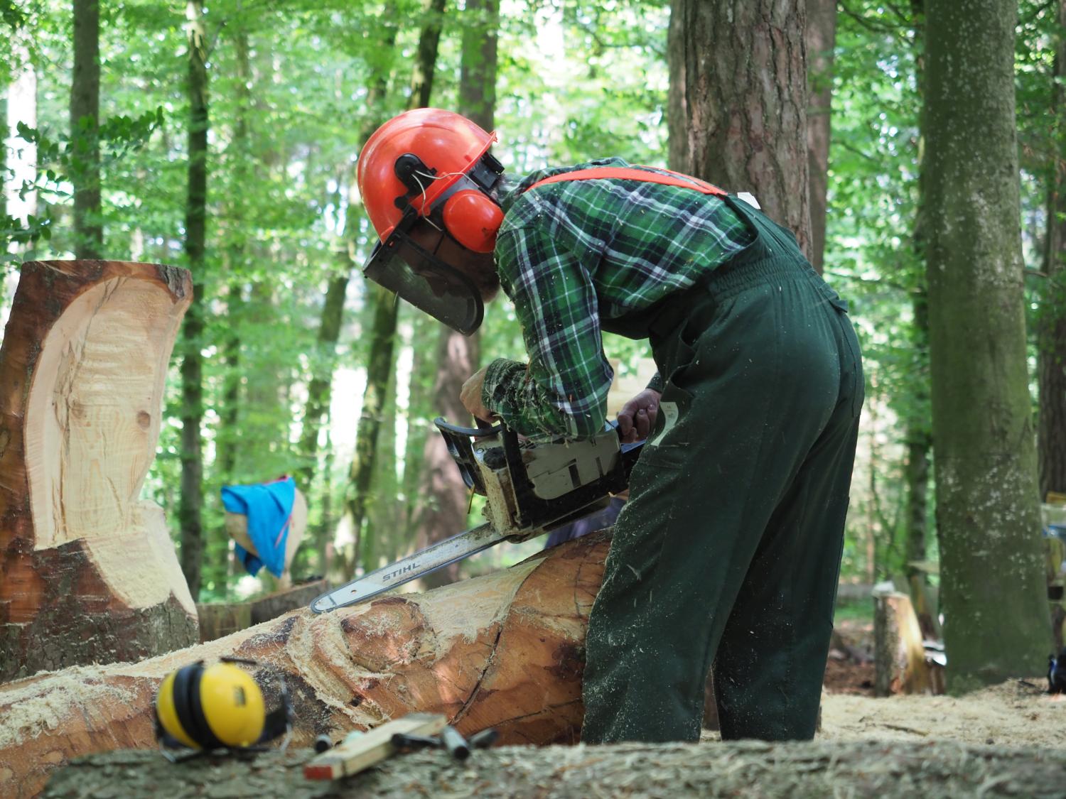 Mach was wotsch 25 20180610 1834966375