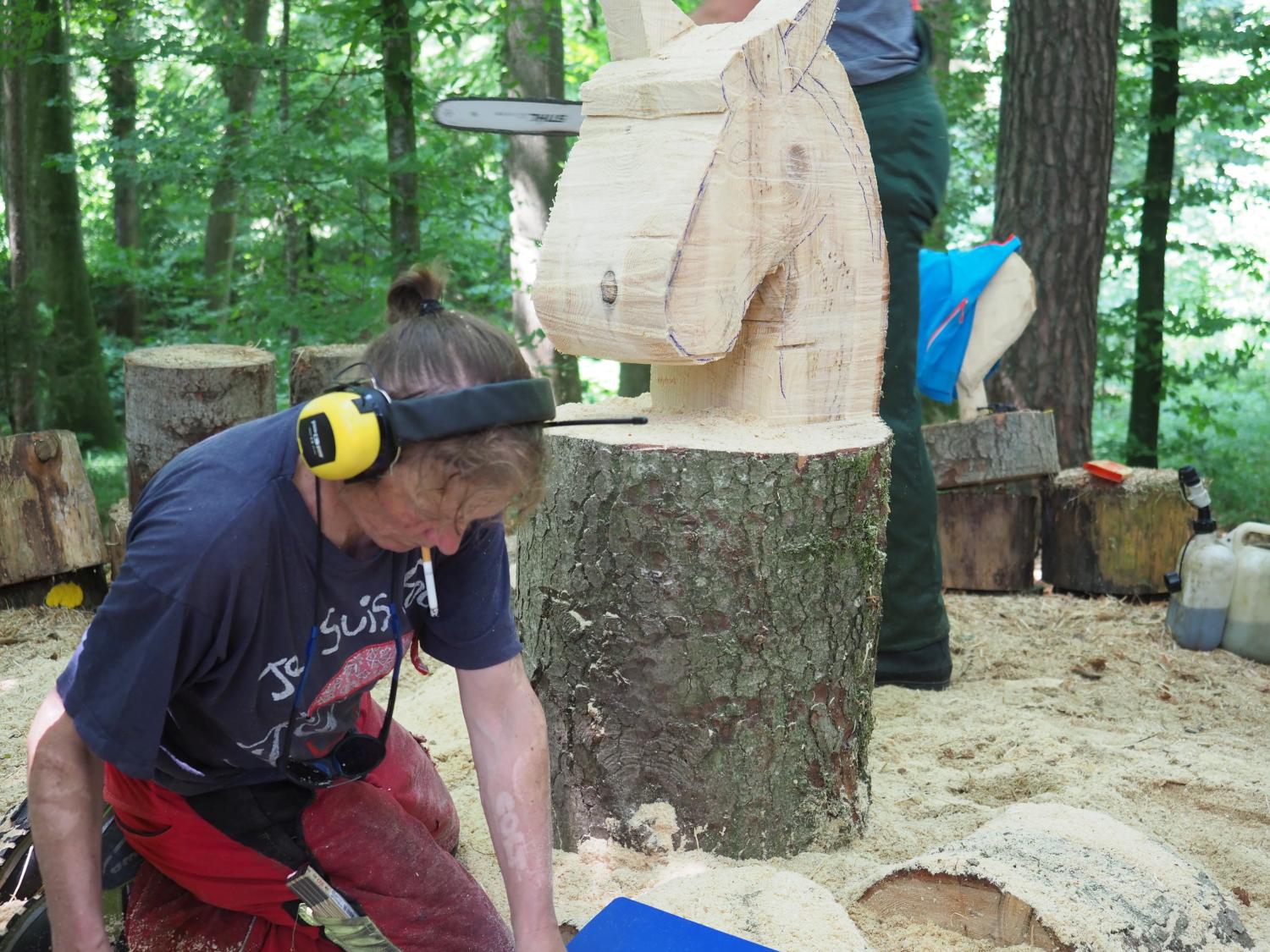 Mach was wotsch 28 20180610 1888931199