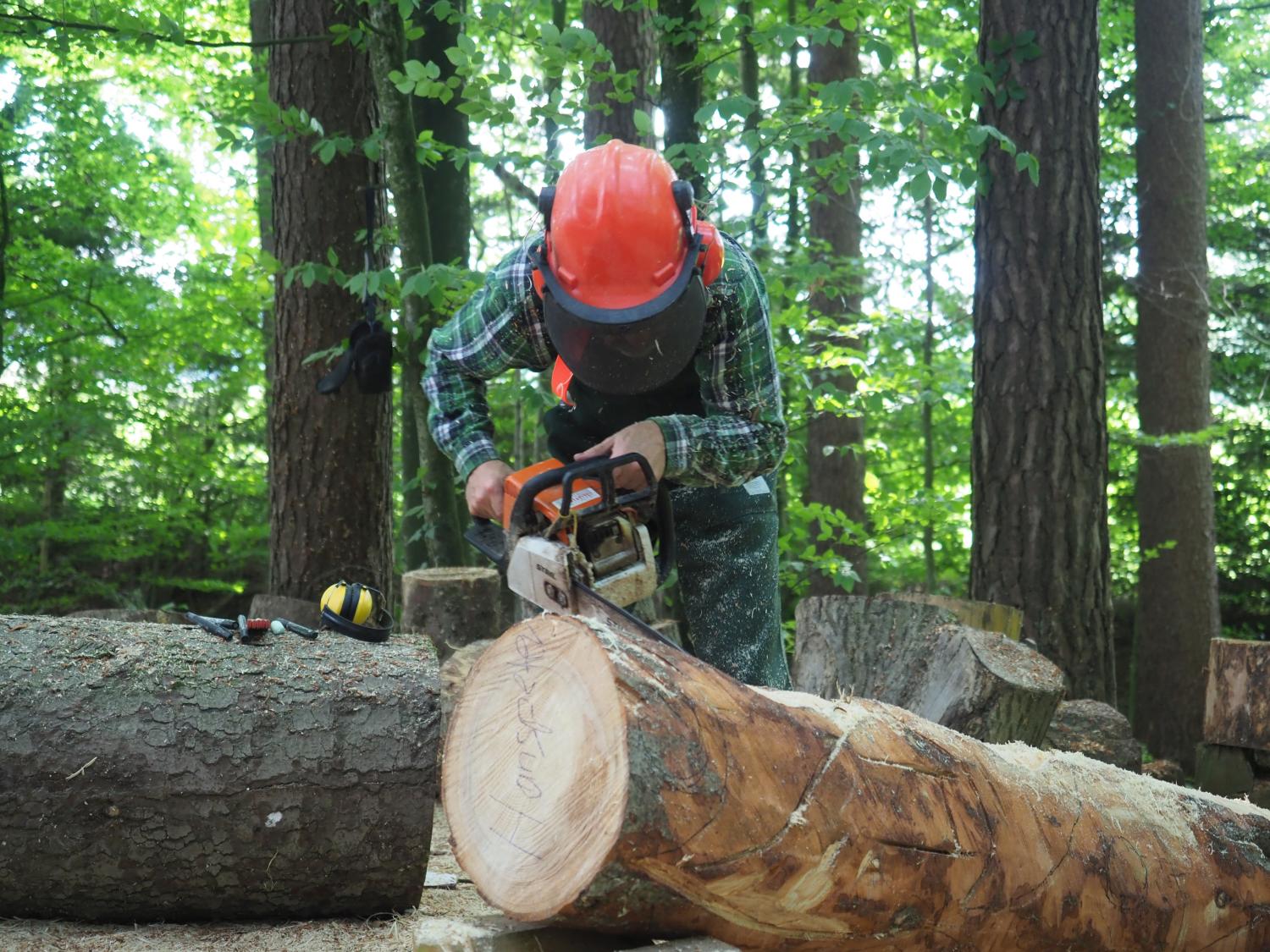 Mach was wotsch 30 20180610 1629169465