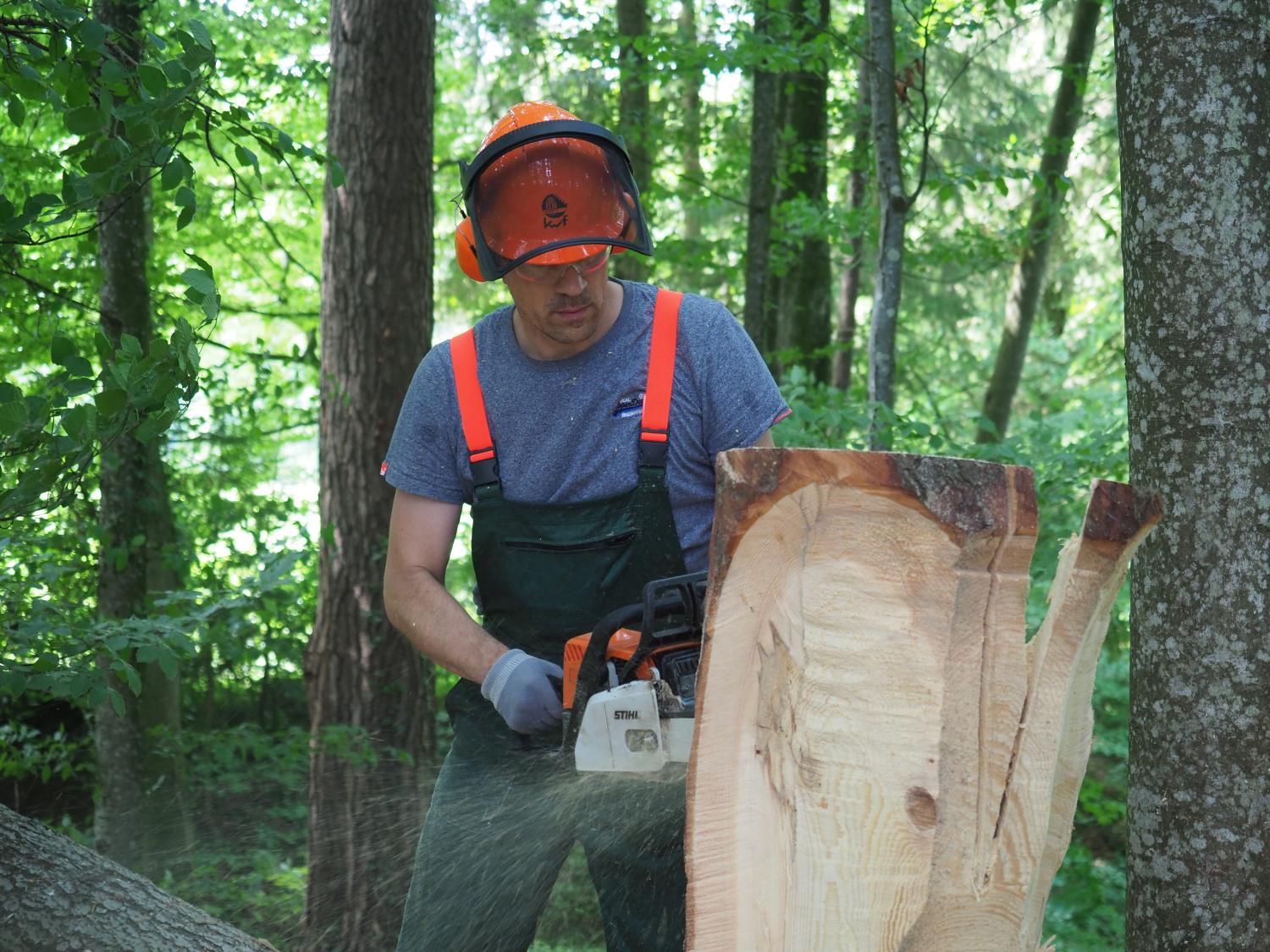 Mach was wotsch 31 20180610 2027465925