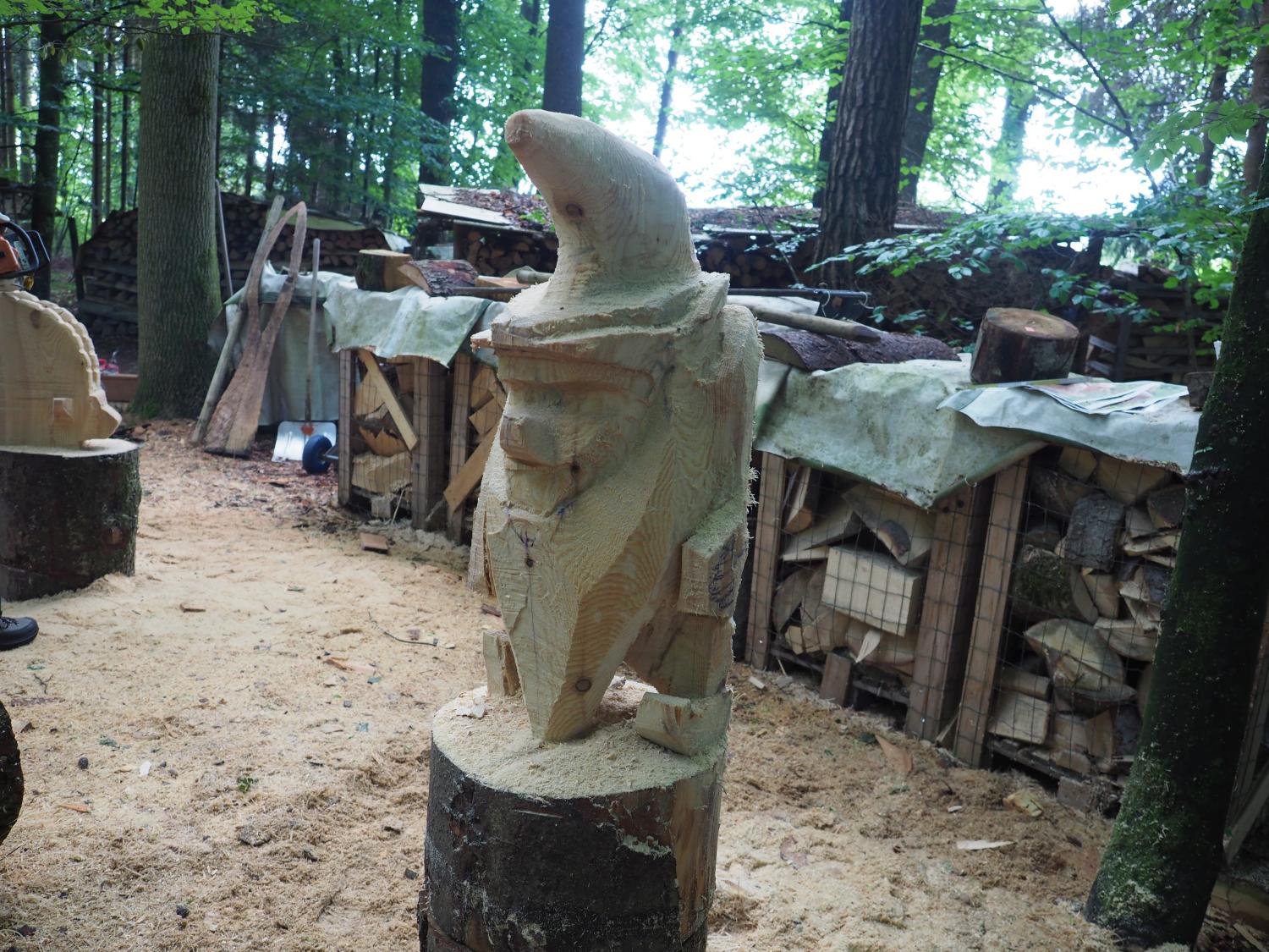 Mach was wotsch 37 20180610 1148180688